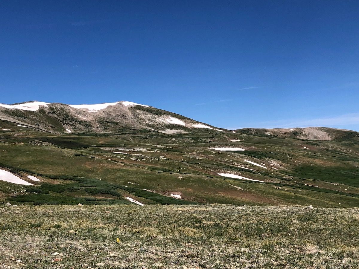 Above treeline.