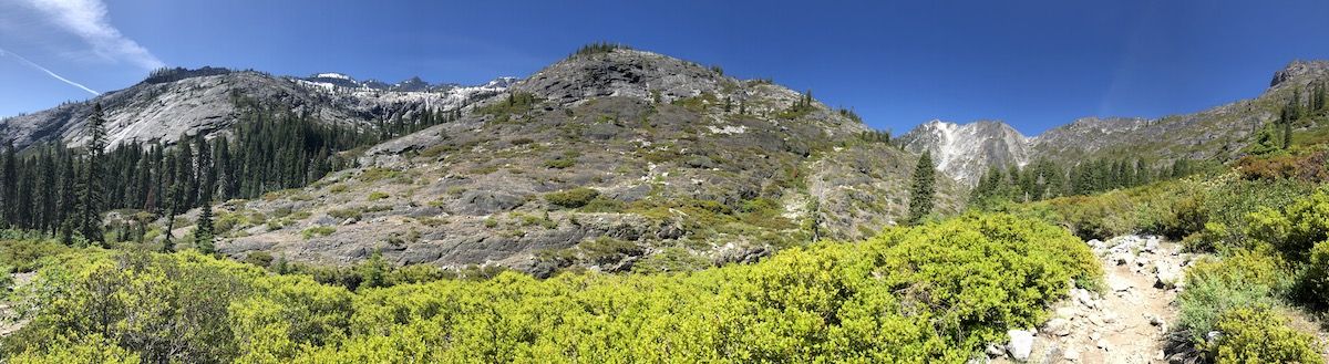 Above the trees.