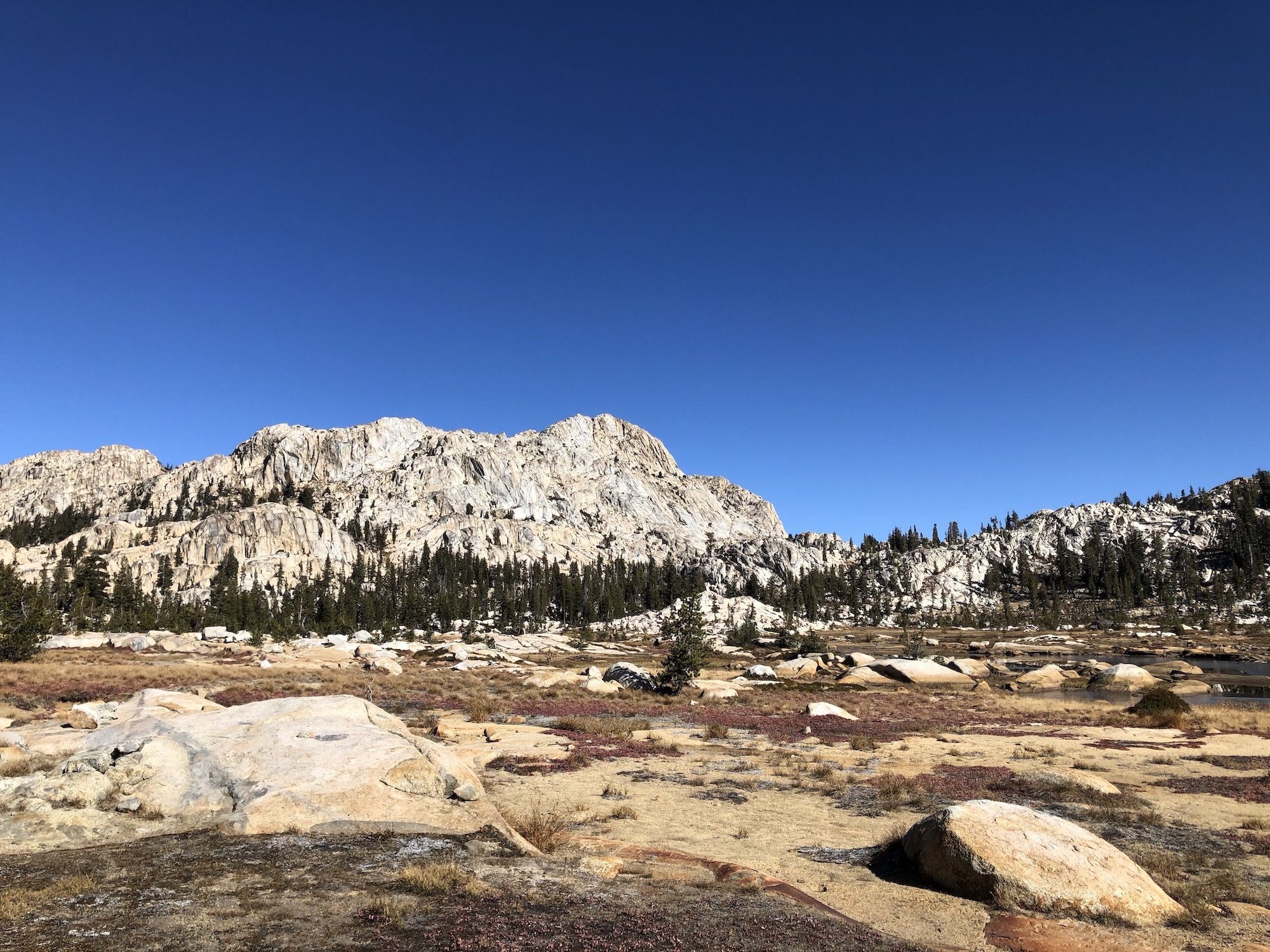 Low grass and fall-colored brush covering a flat meadow