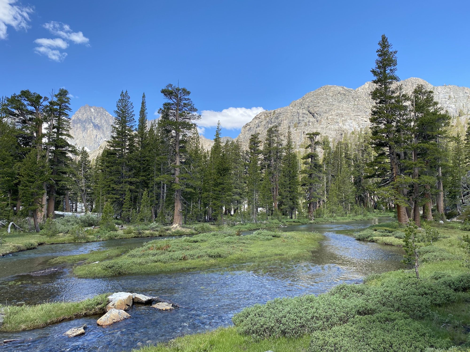 A creek bend in a meadow