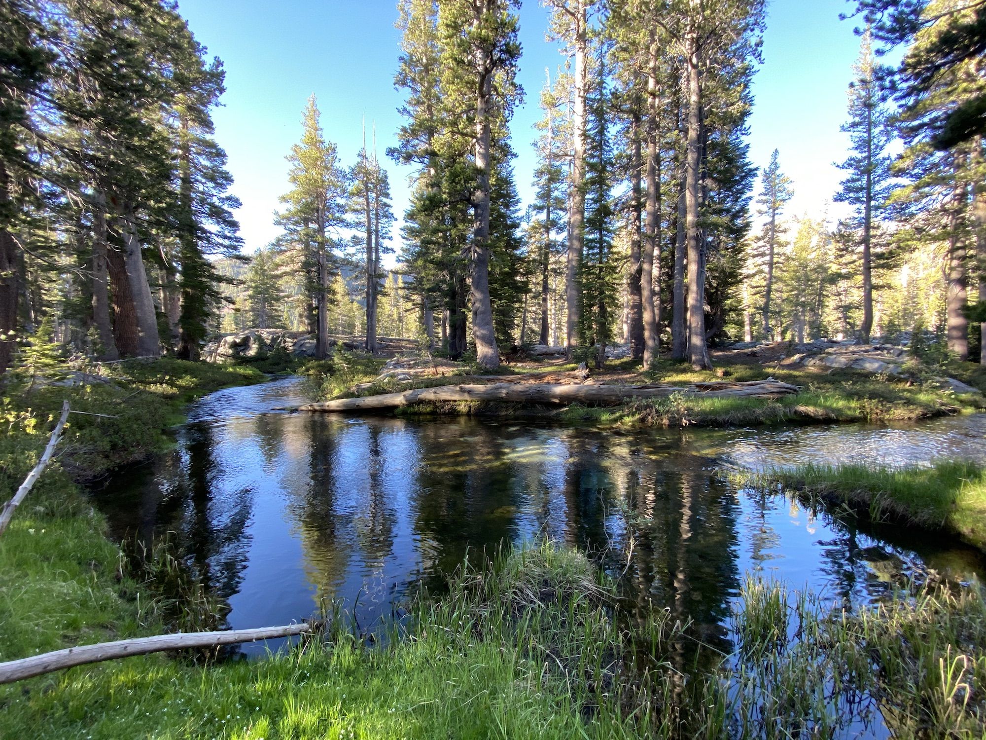 A creek flowing through a meadow