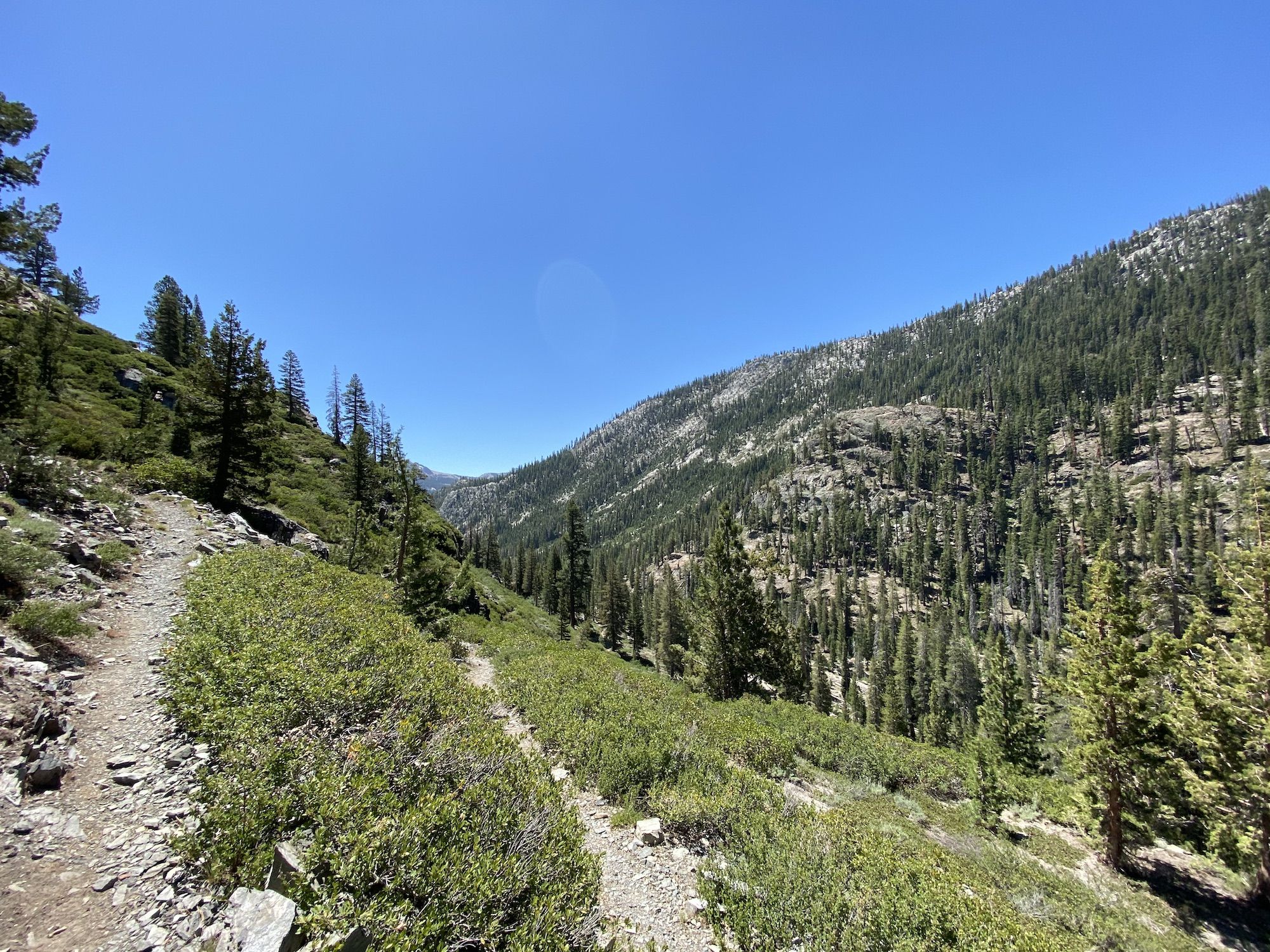 A switchbacking trail through low brush