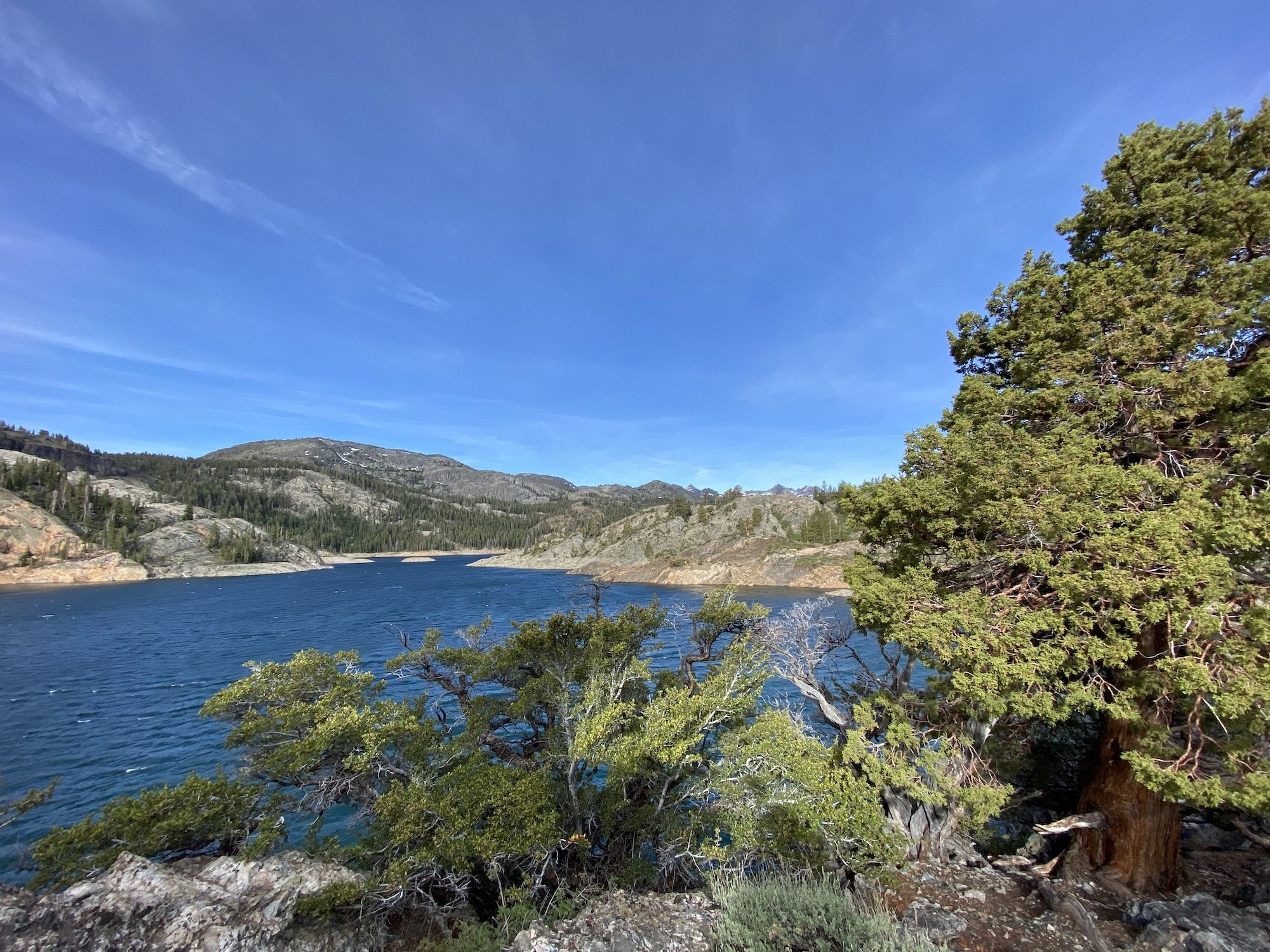 A lake behind juniper trees