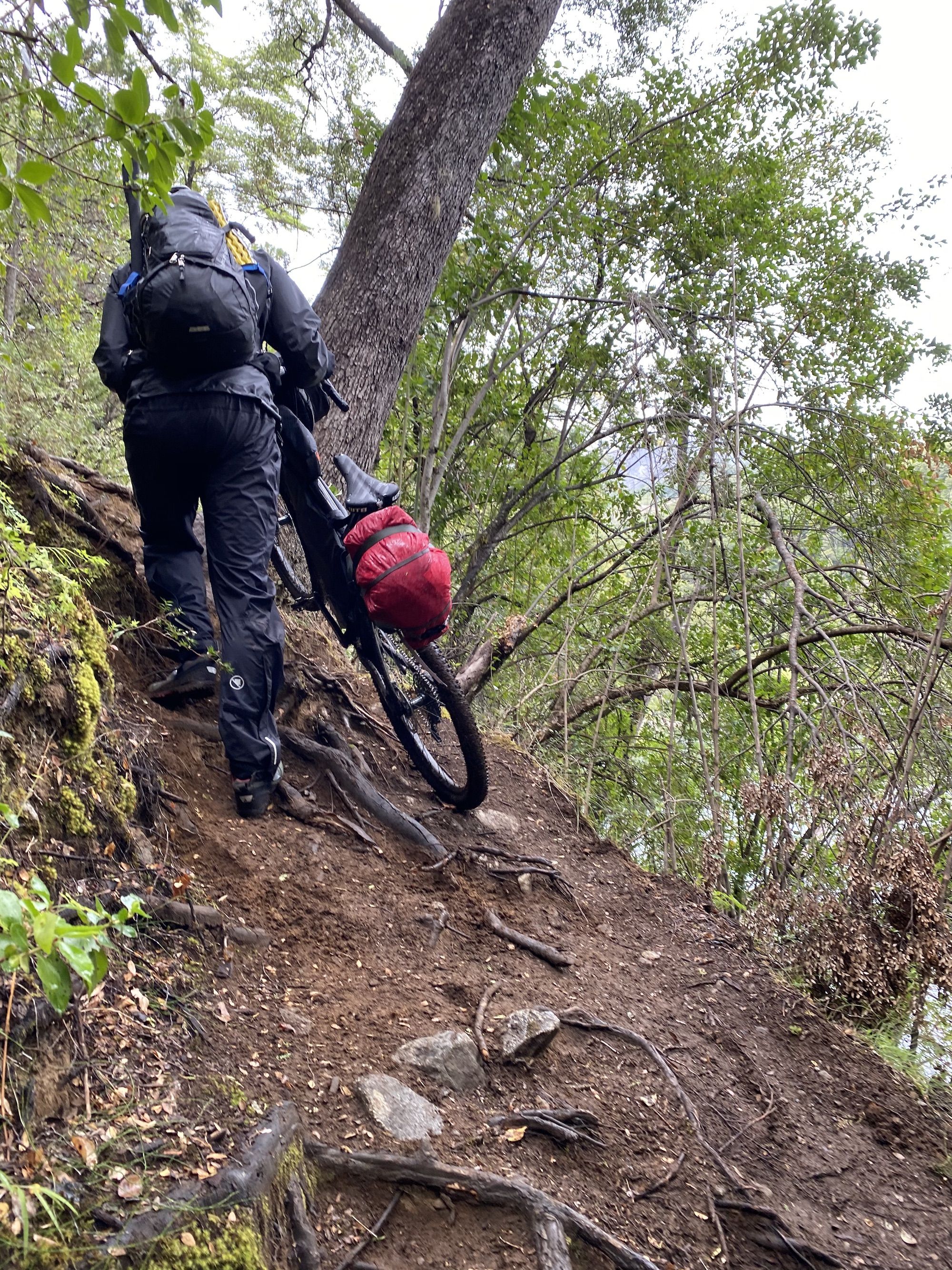 A man pulling his bike up a steep, rooted, path