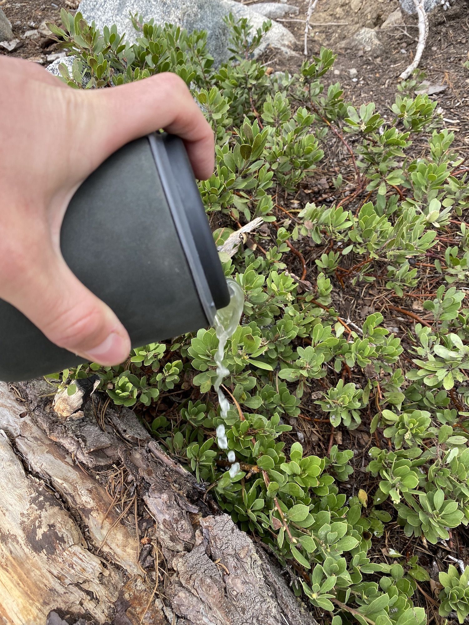 Pouring out water from a pot