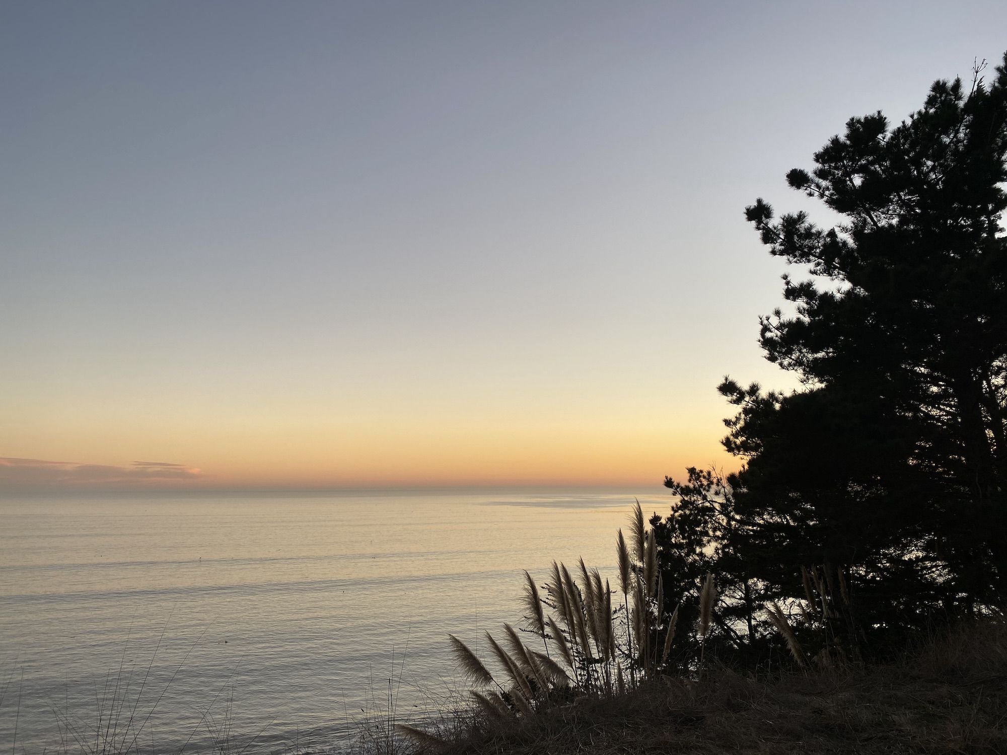 A late sunset over a calm sea with trees in the foreground. 