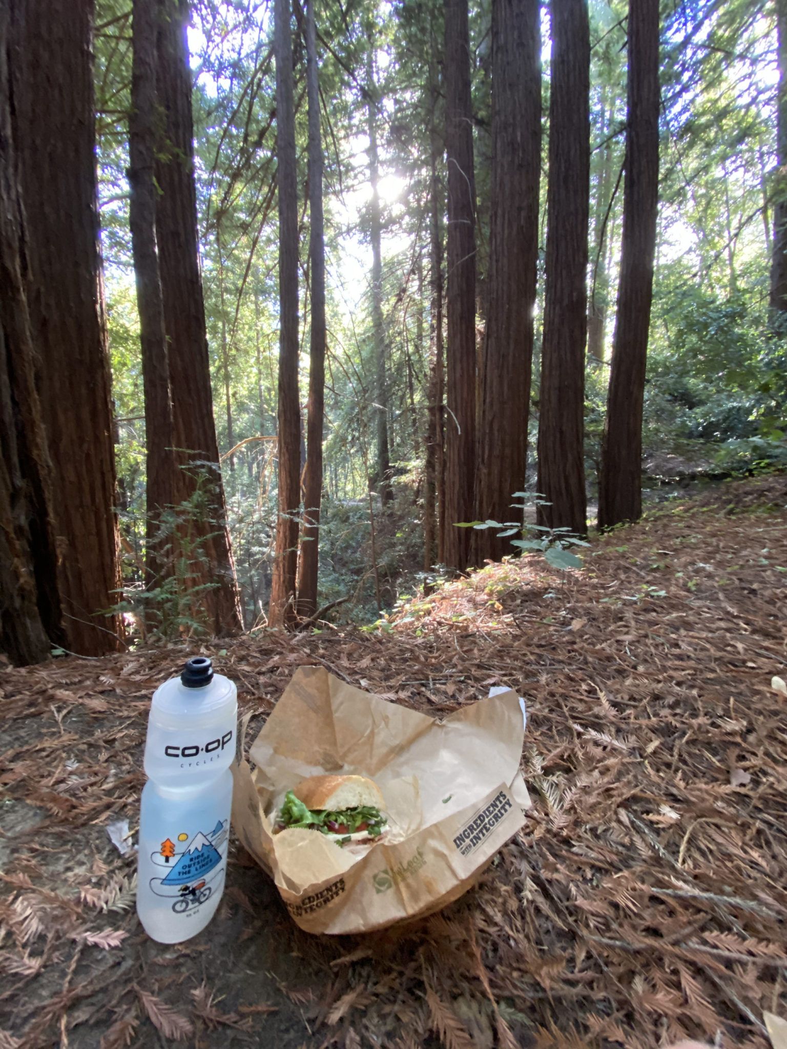 A water bottle and a sandwich in a wrapper sitting on a bed of redwood duff. 