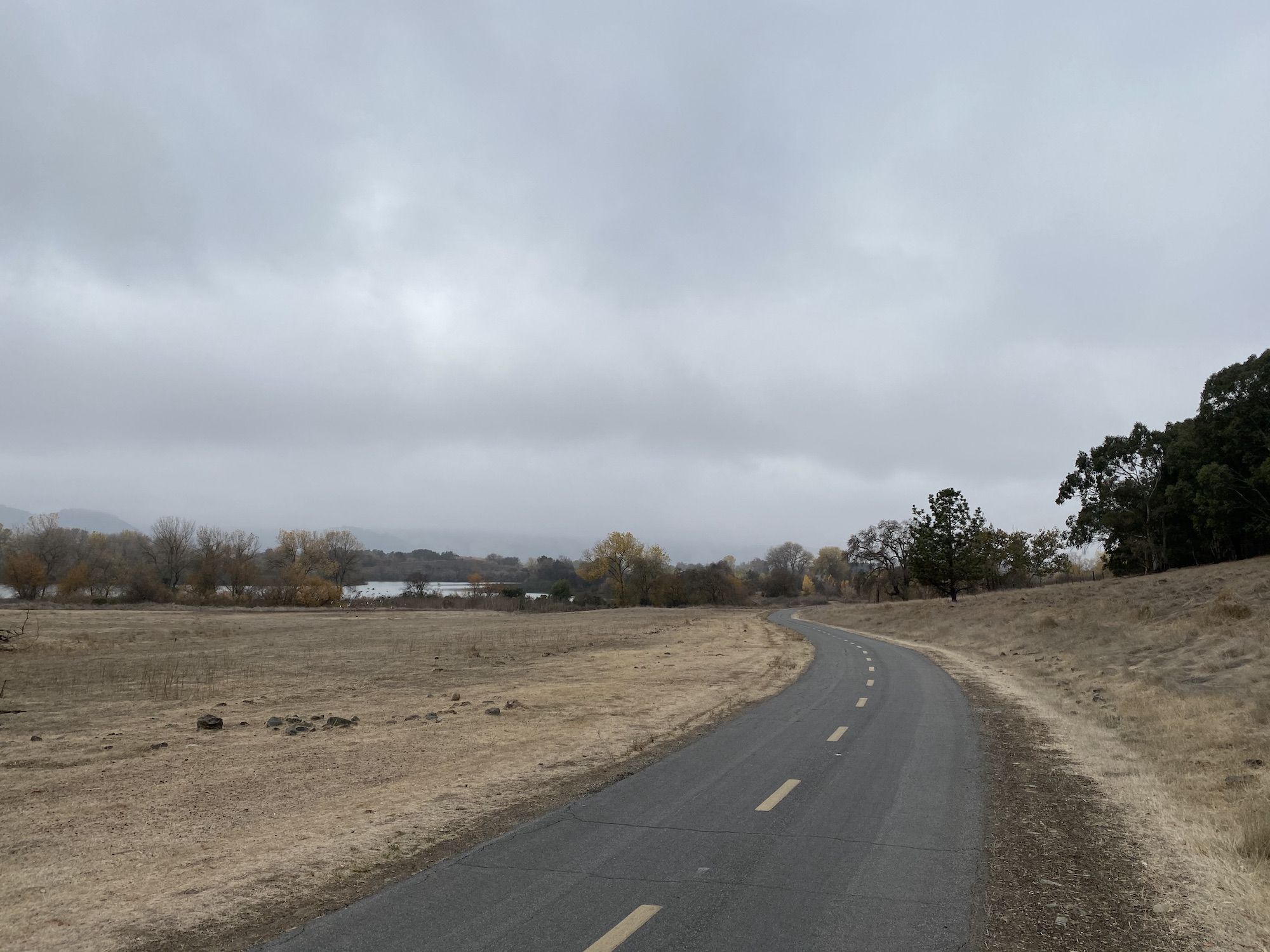 A bike path through a field of yellow grass under a gray sky and fog. 