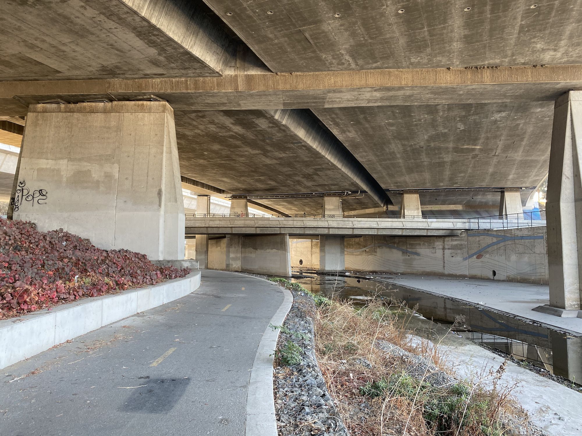 A bike path under the 87 in San Jose