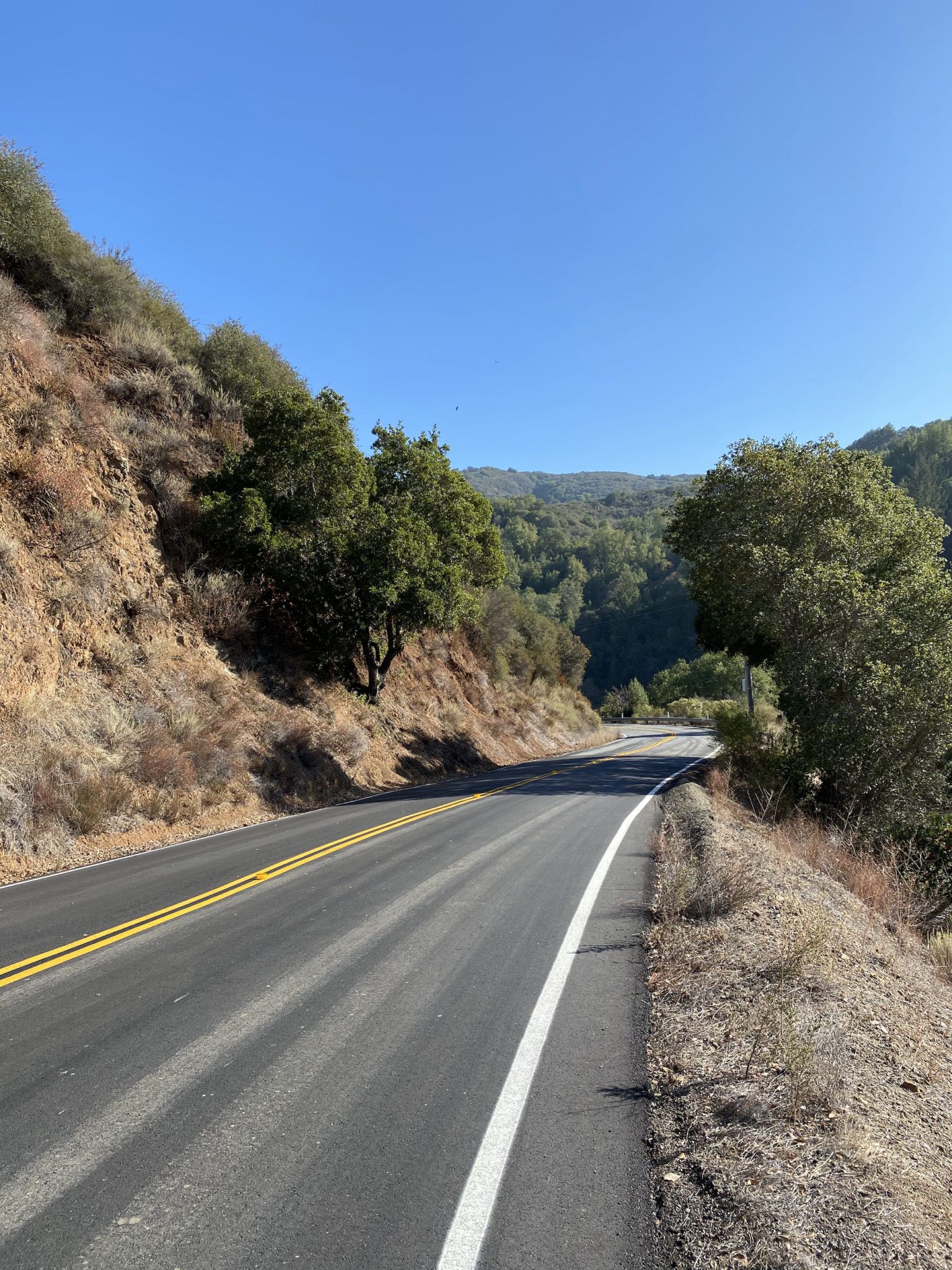 A paved road on a mountainside with trees on both sides. 