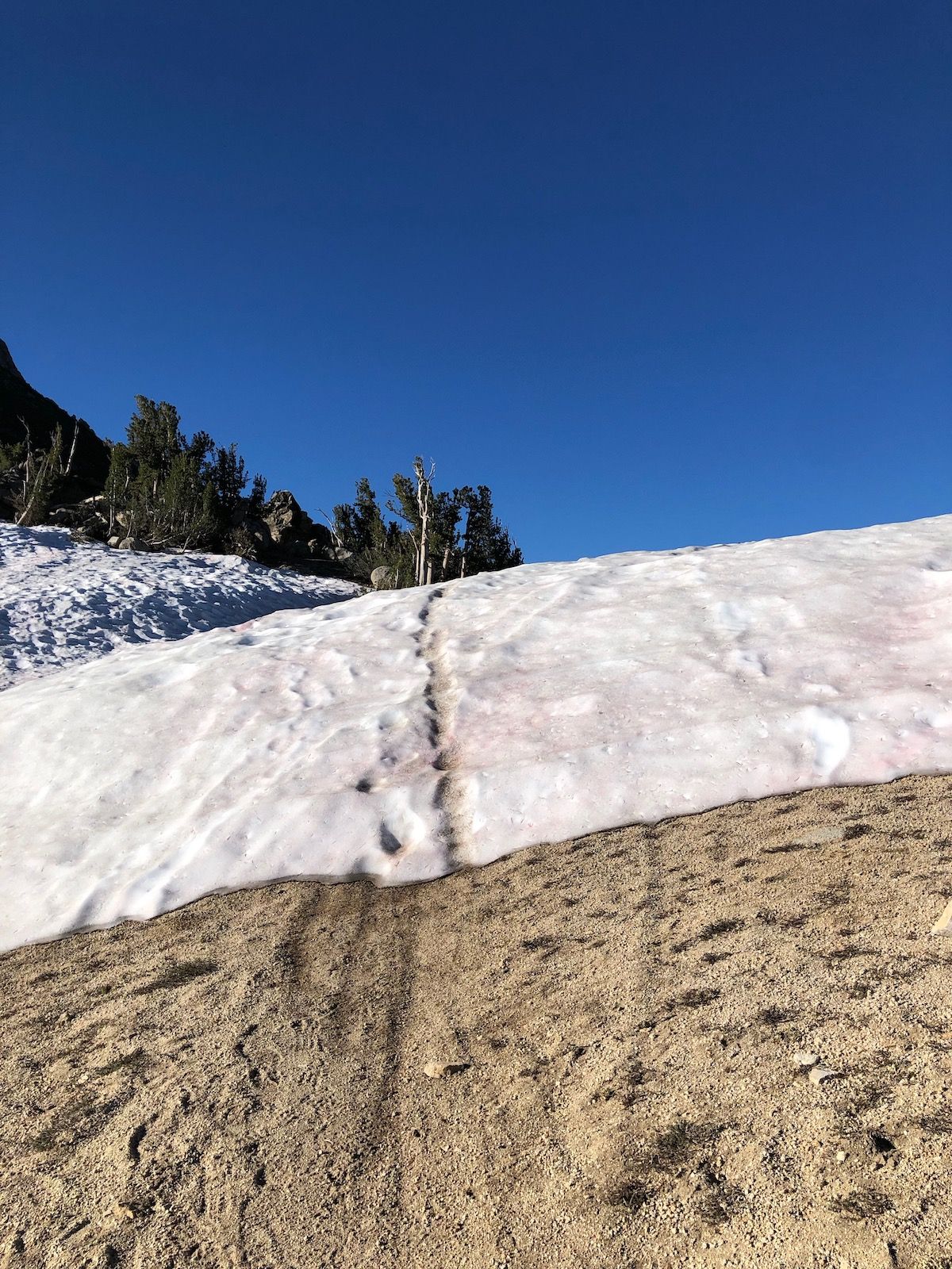 Snow drifts below Freel Peak.