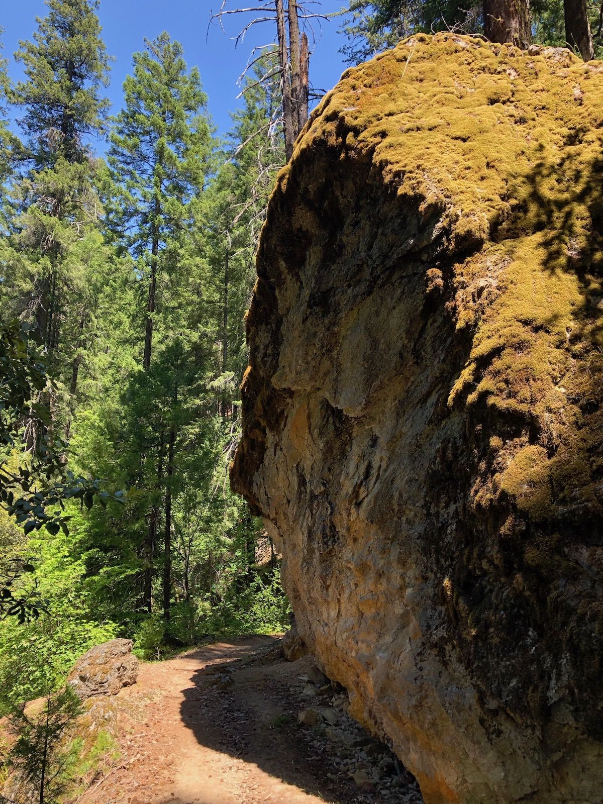 A big rock along the trail.