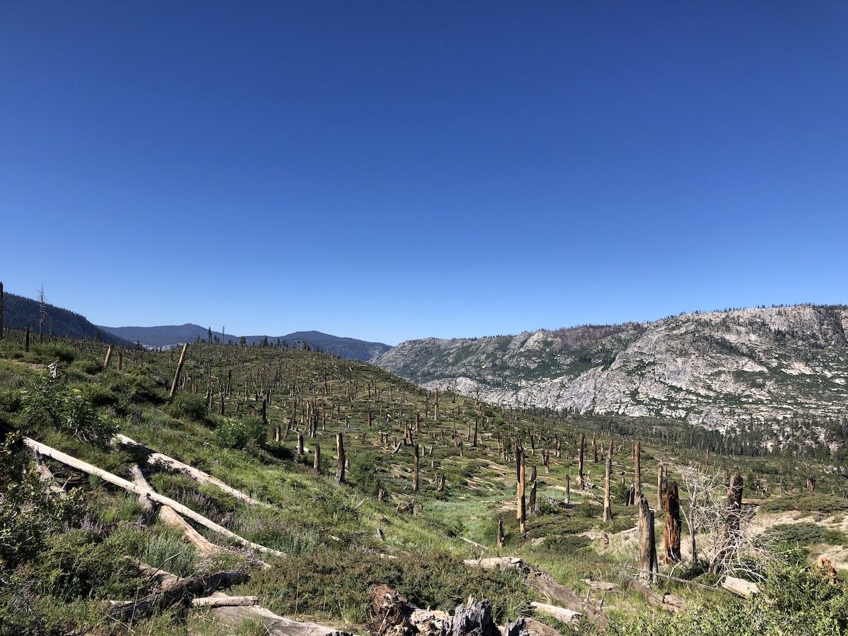 Right after Red's Meadow, the trail crossed an old burn area with expansive views.