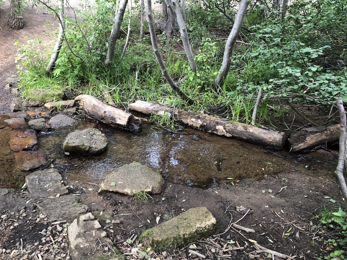 Edgewood creek flowing at the end of July 2018.