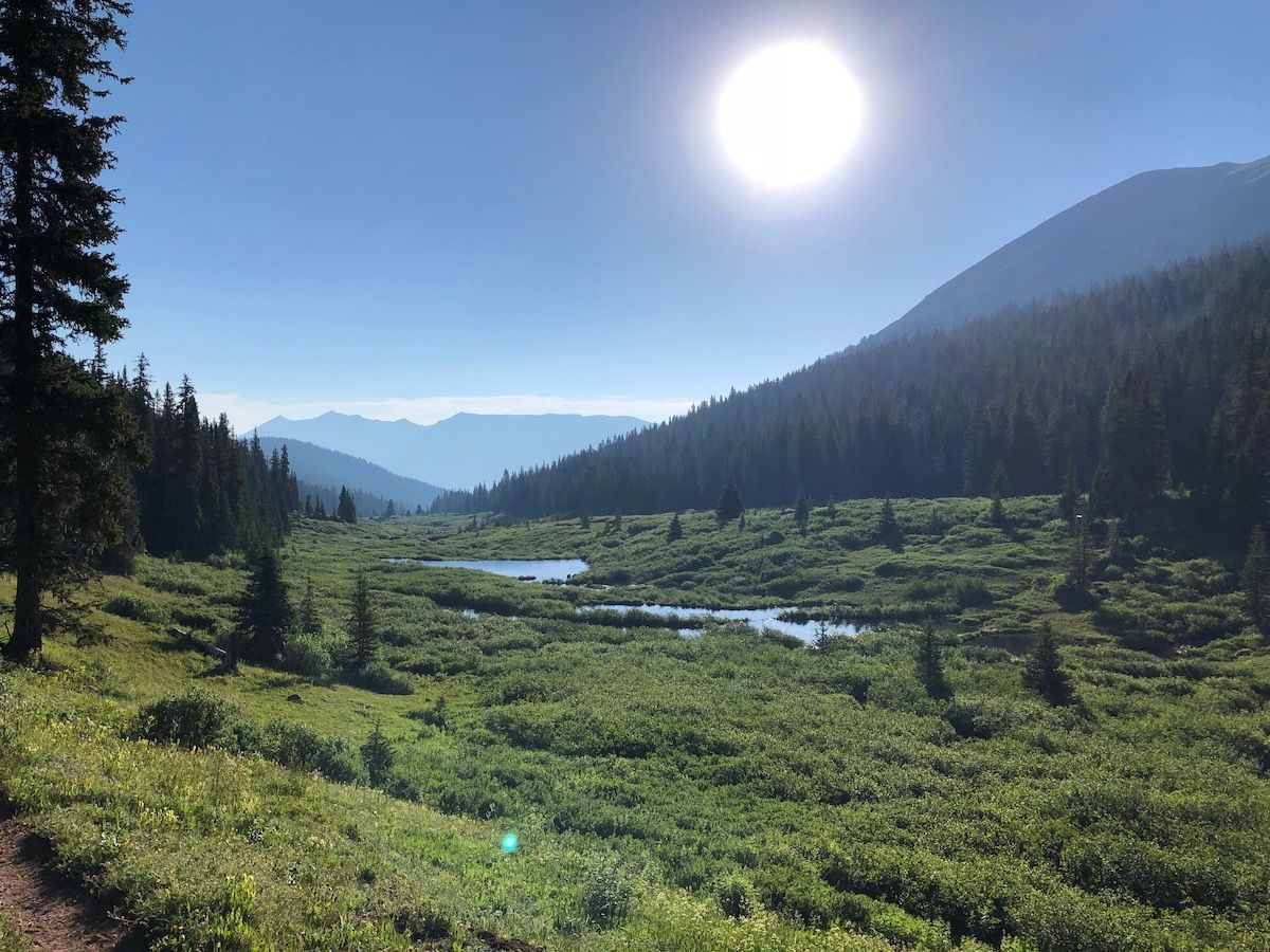 Guller Creek Meadows after sunrise.