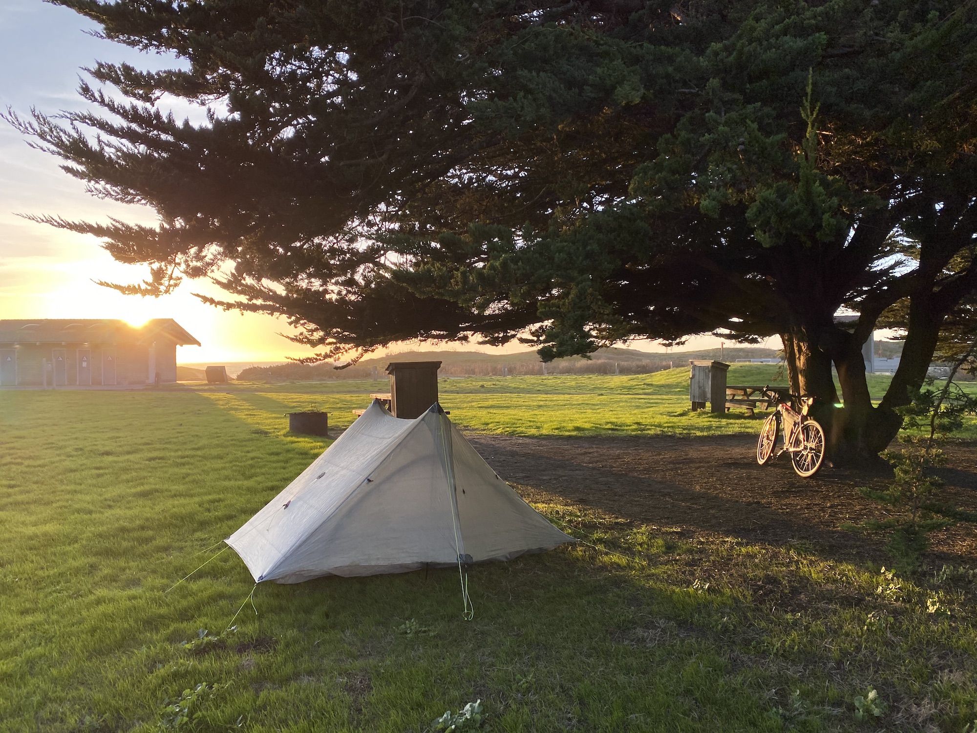 A tent set up under a large tree. A bike leaning on the tree.