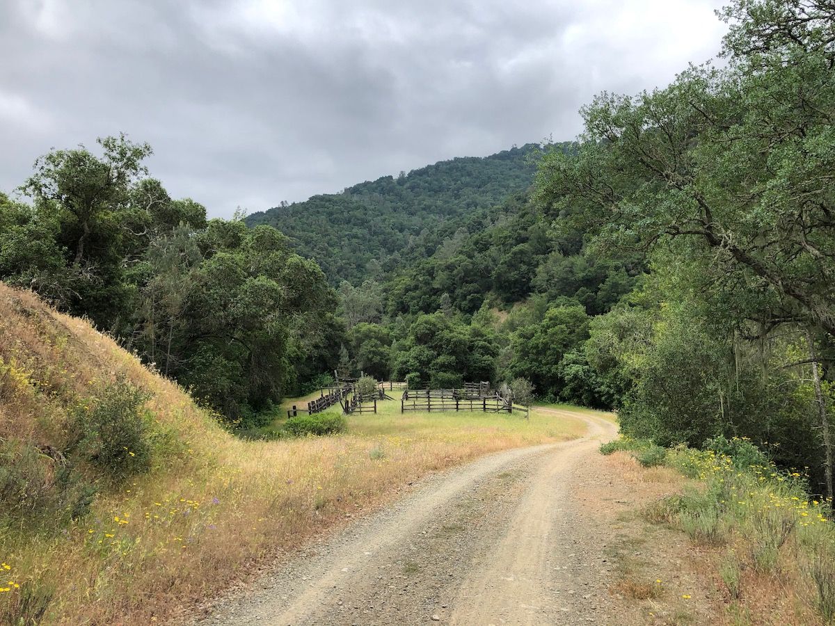 Coit Road in Henry Coe State Park.