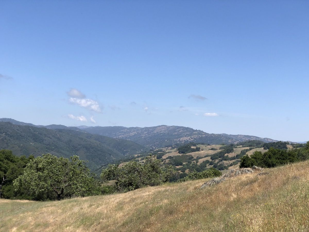 Lick Observatory in the distance from Jackson Trail. Backpacking in Henry Coe offers some amazing views.