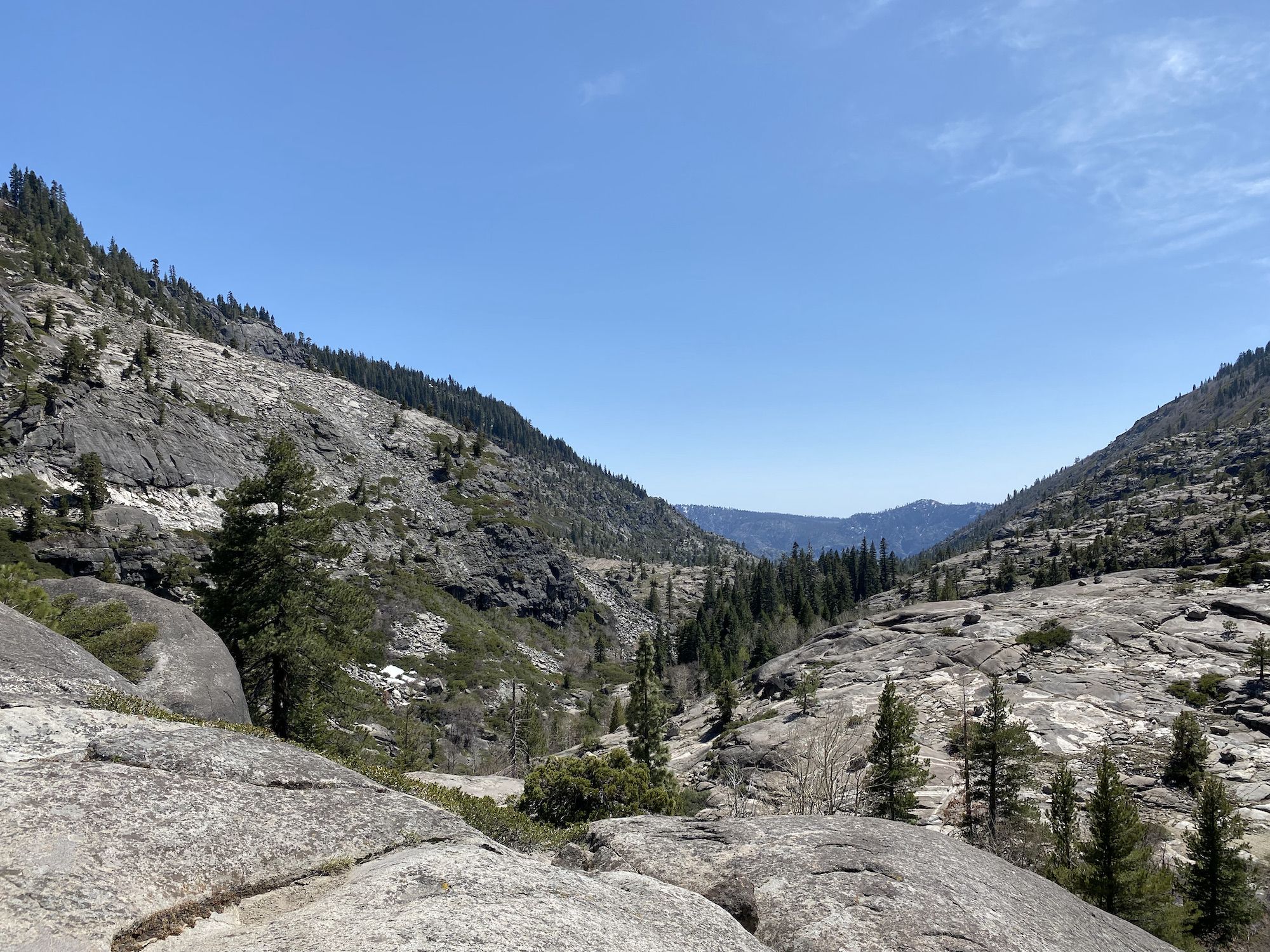 A granite valley with pine trees