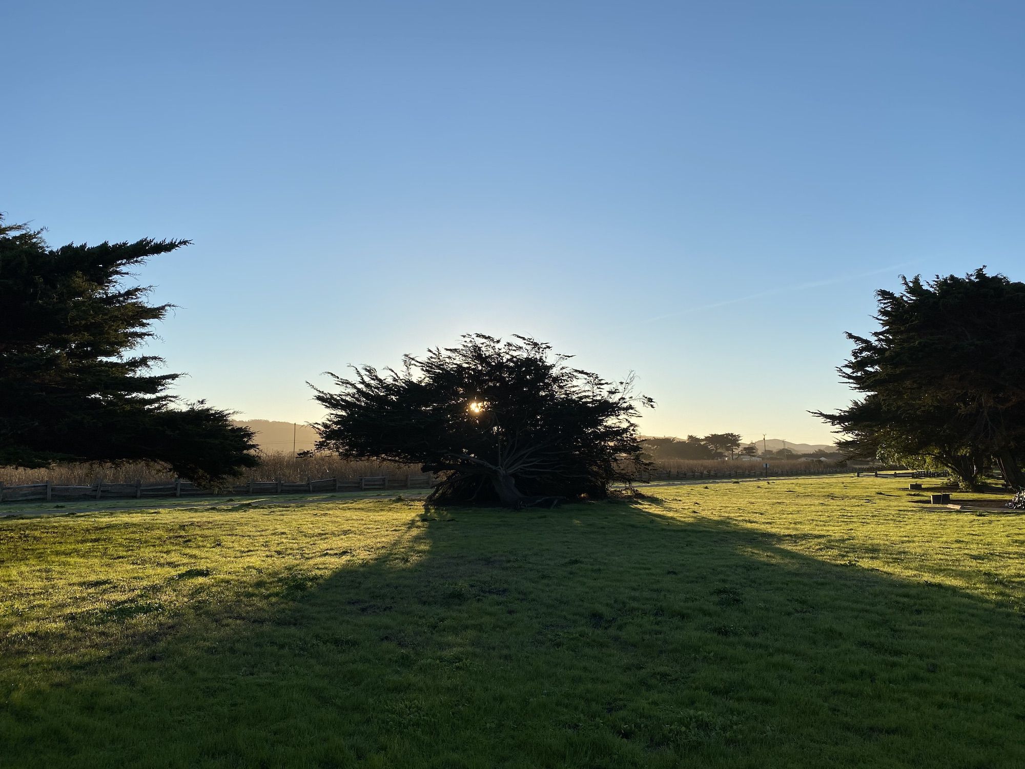 The sun rising behind trees