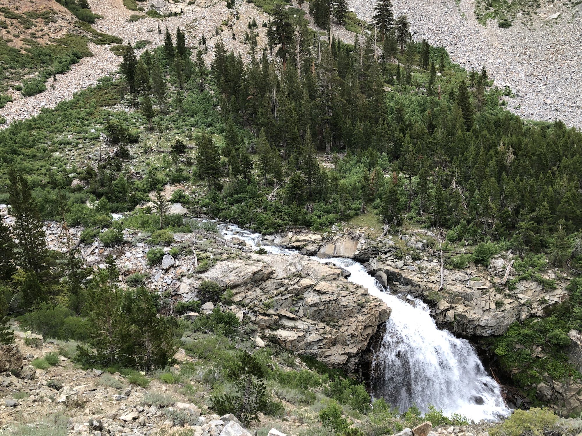 A small waterfall that has carved through a jagged rock.