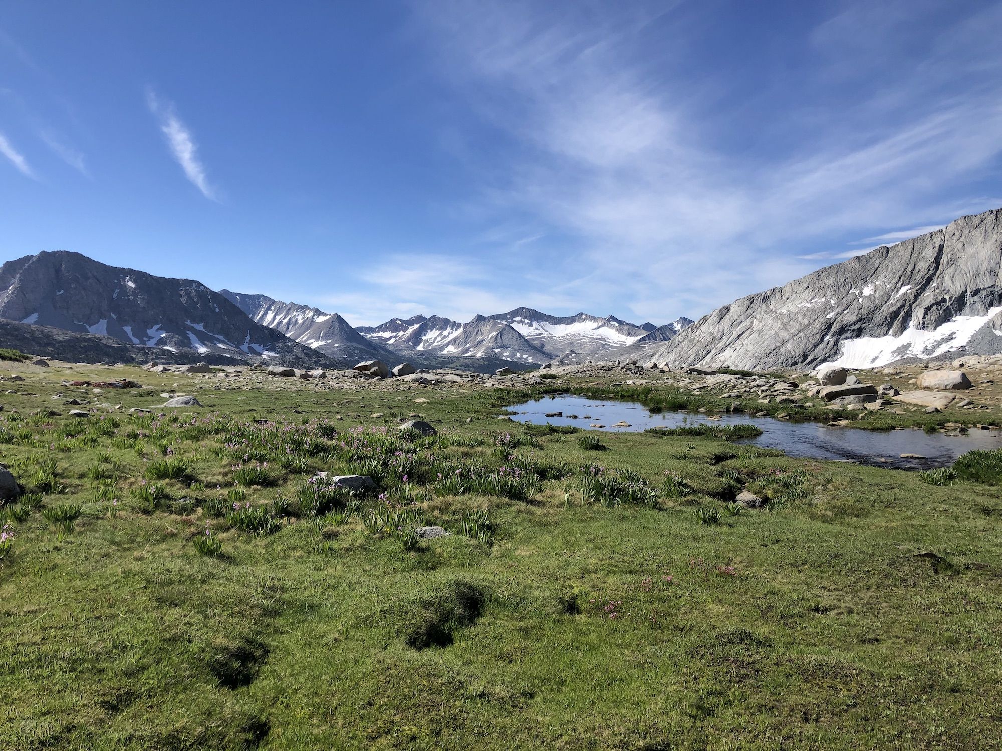 A meadow with grass, flowers and a creek. 