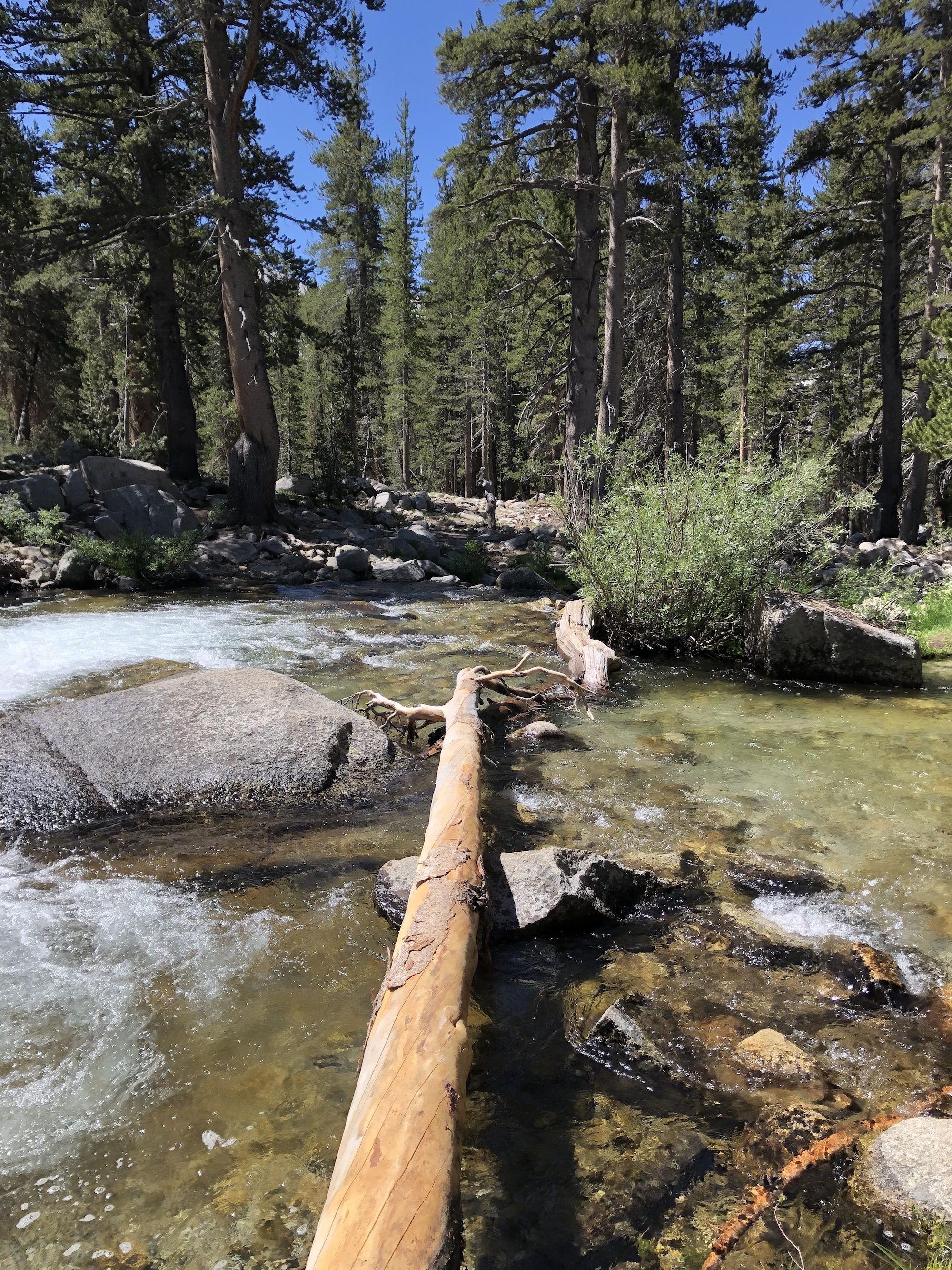 A series of logs crossing a creek.