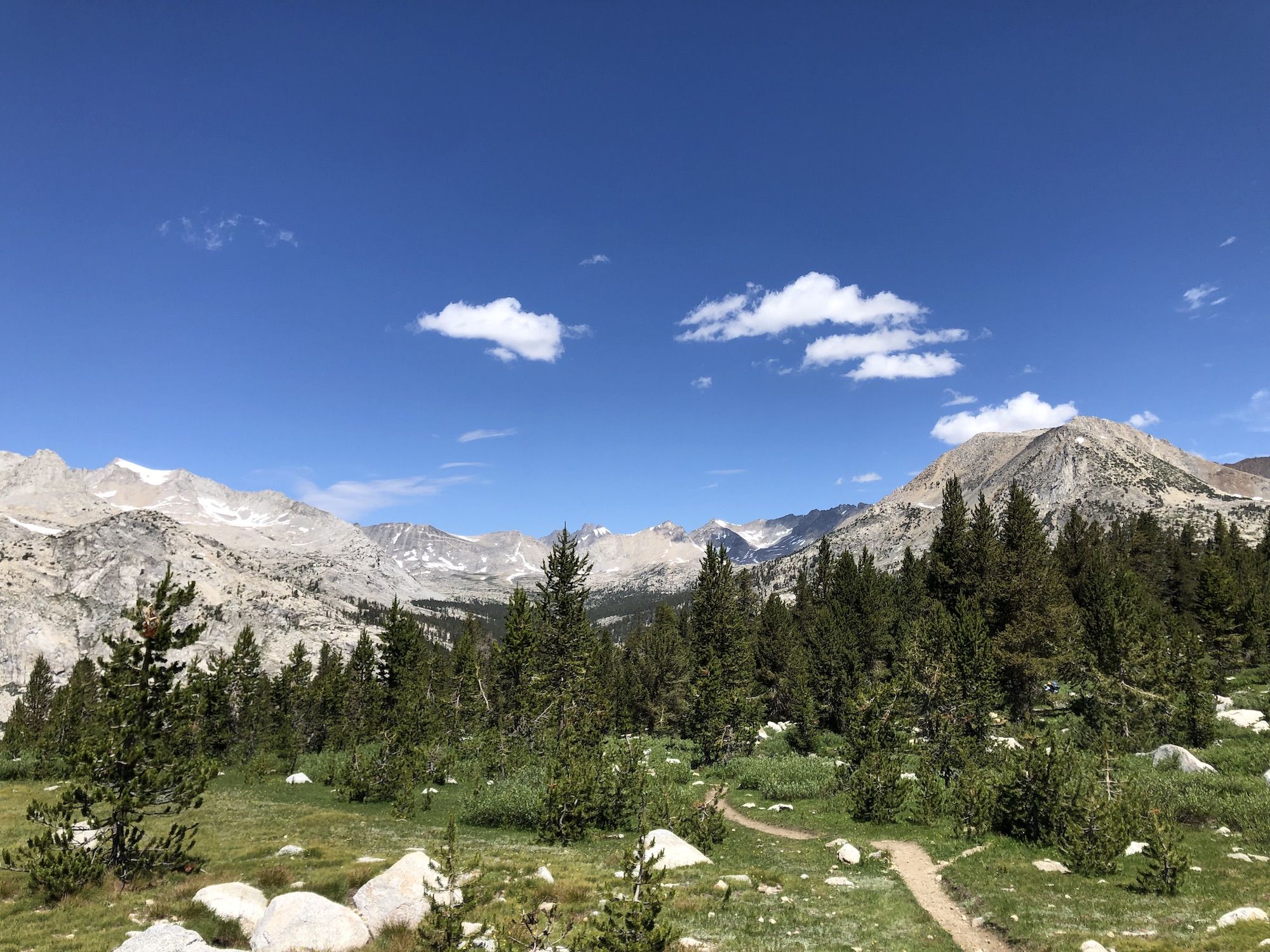 Bare granite peaks encircling pine trees and green grass.