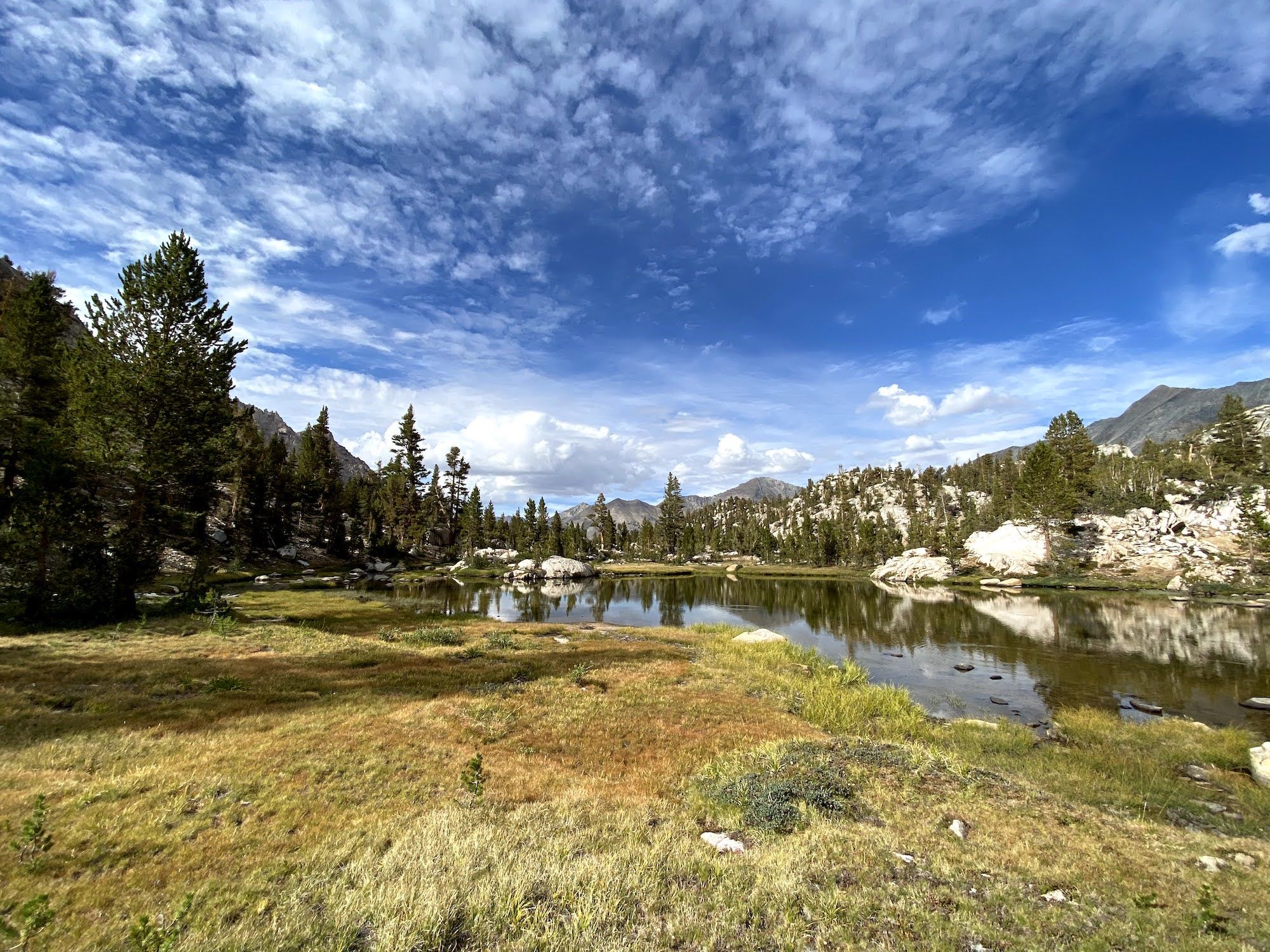 A lake behind a meadow