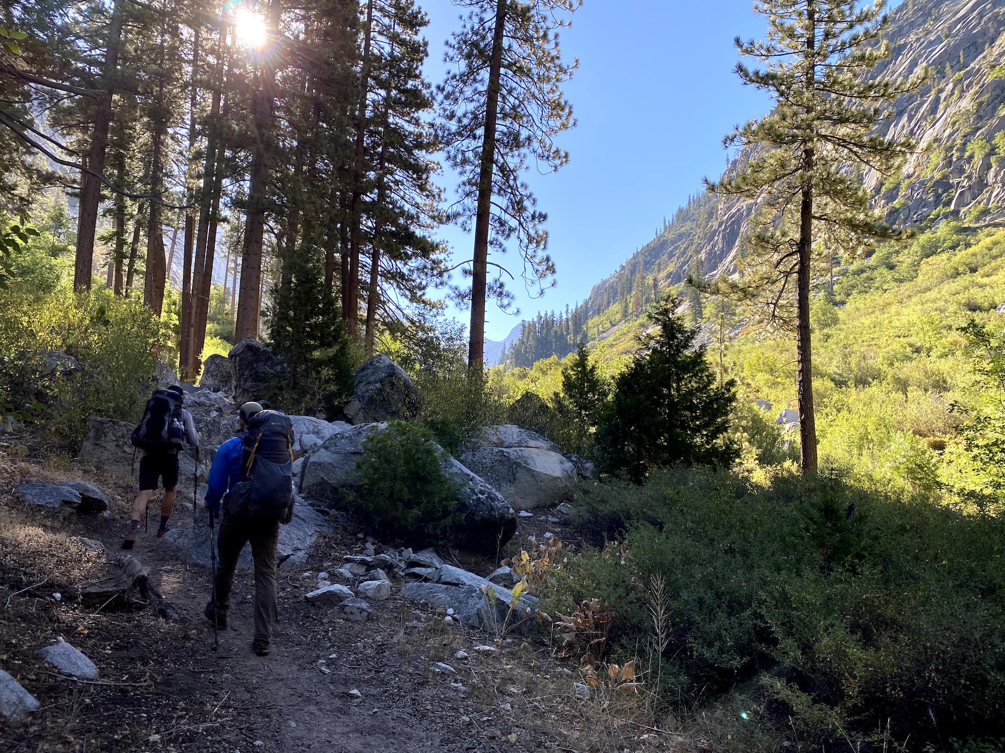 Two men hiking through a forest