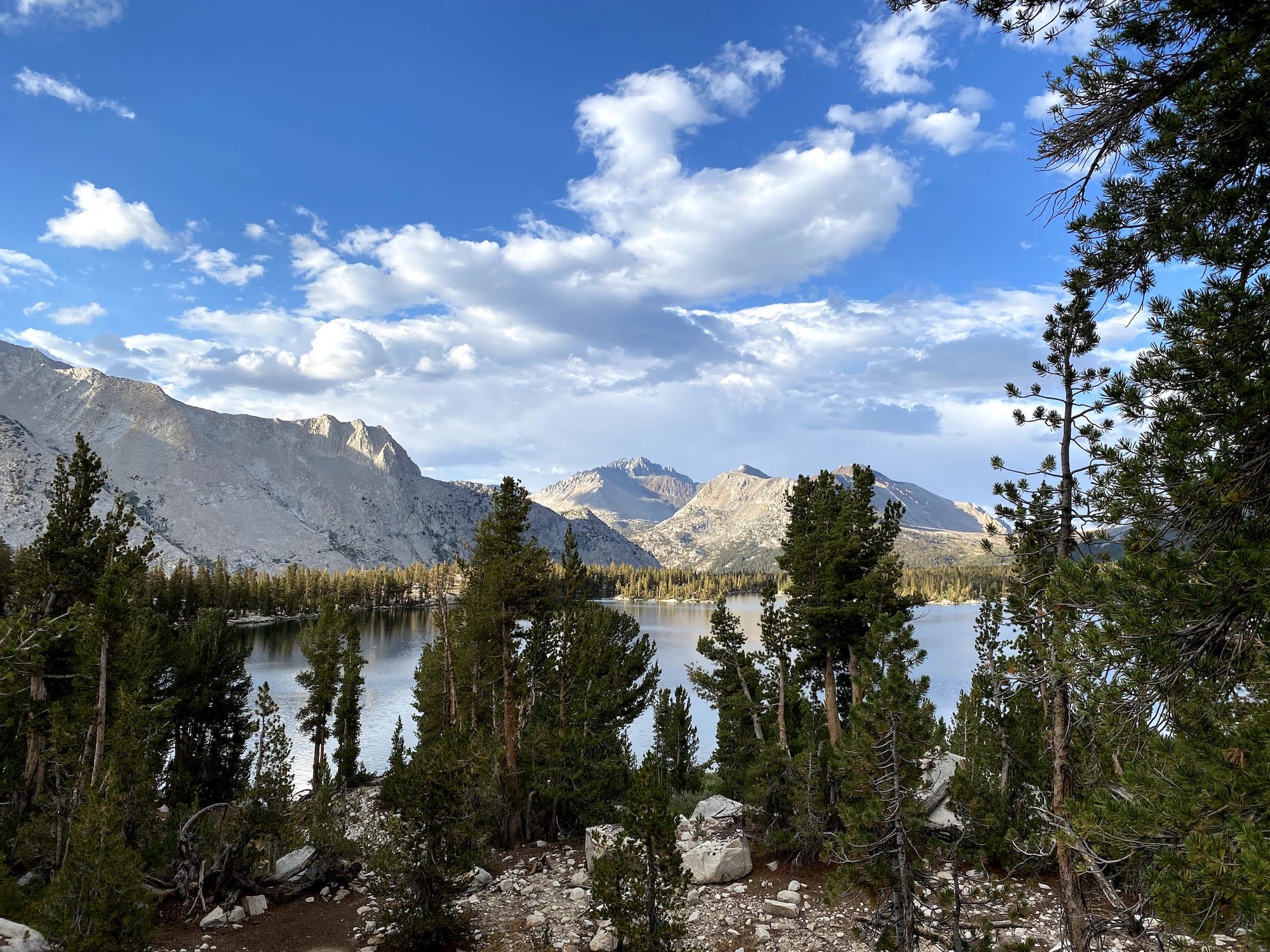 A partial view of Bench Lake from behind trees.