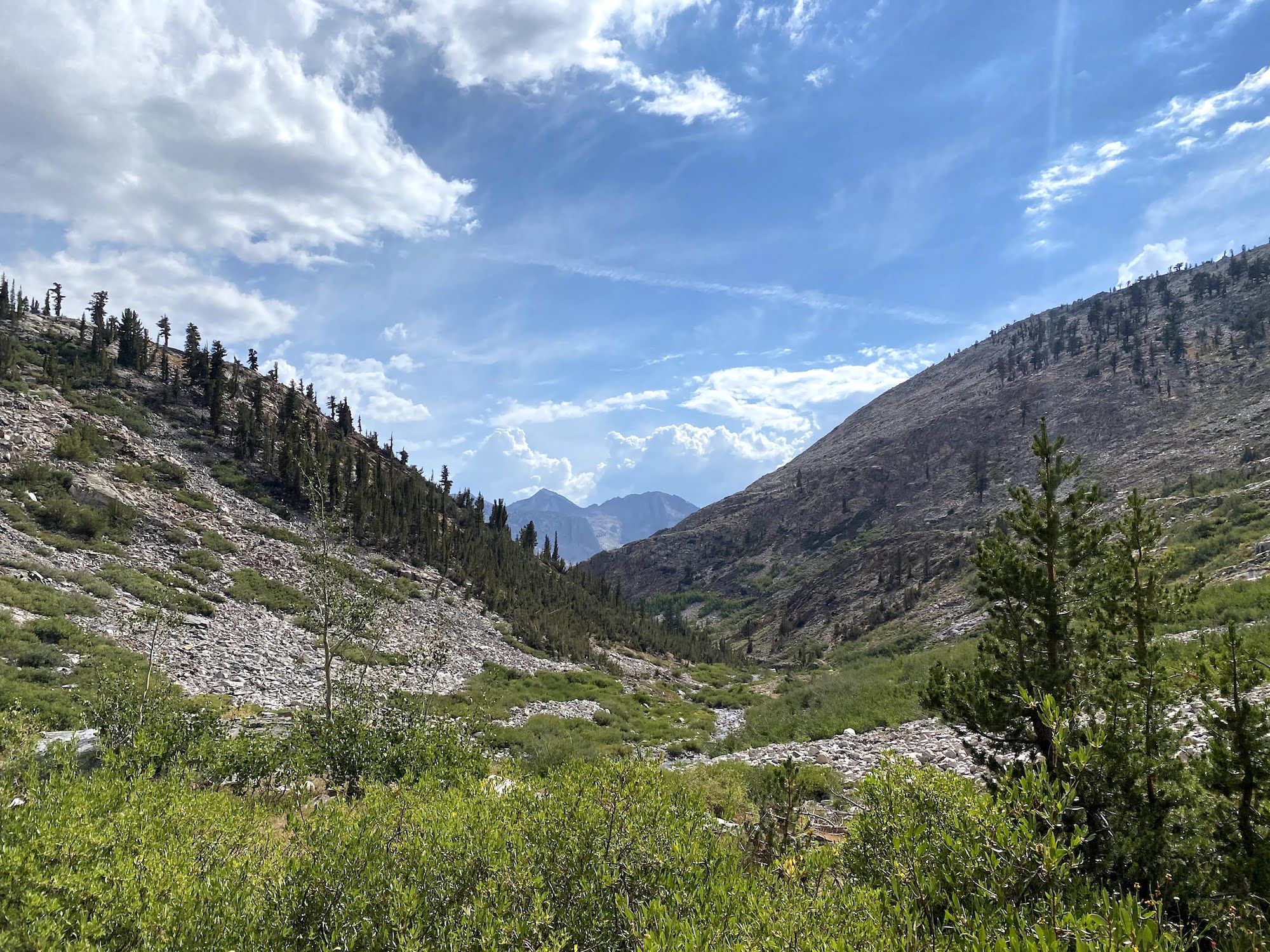 A valley along a creek