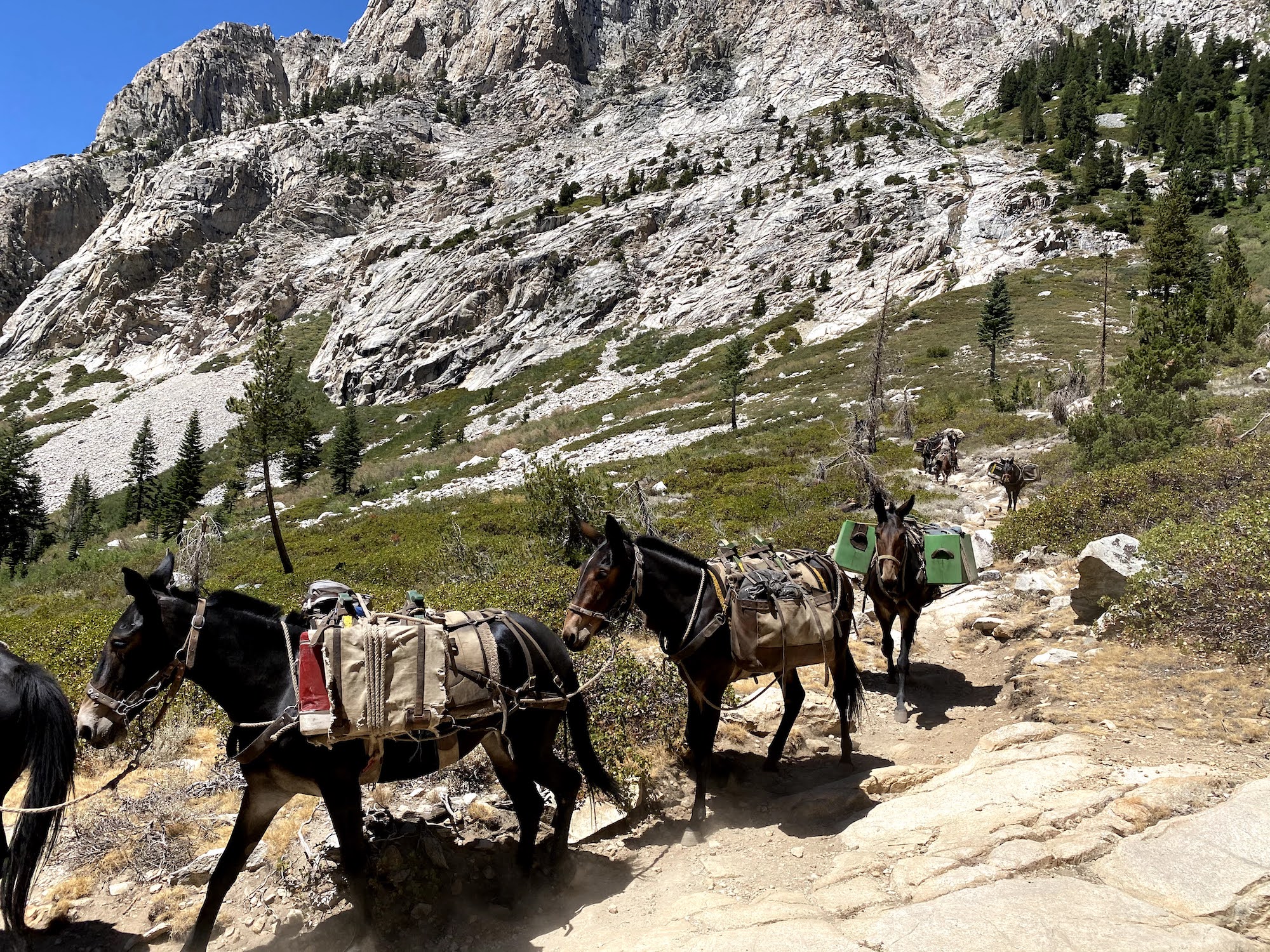 6-day backpacking adventure in Kings Canyon