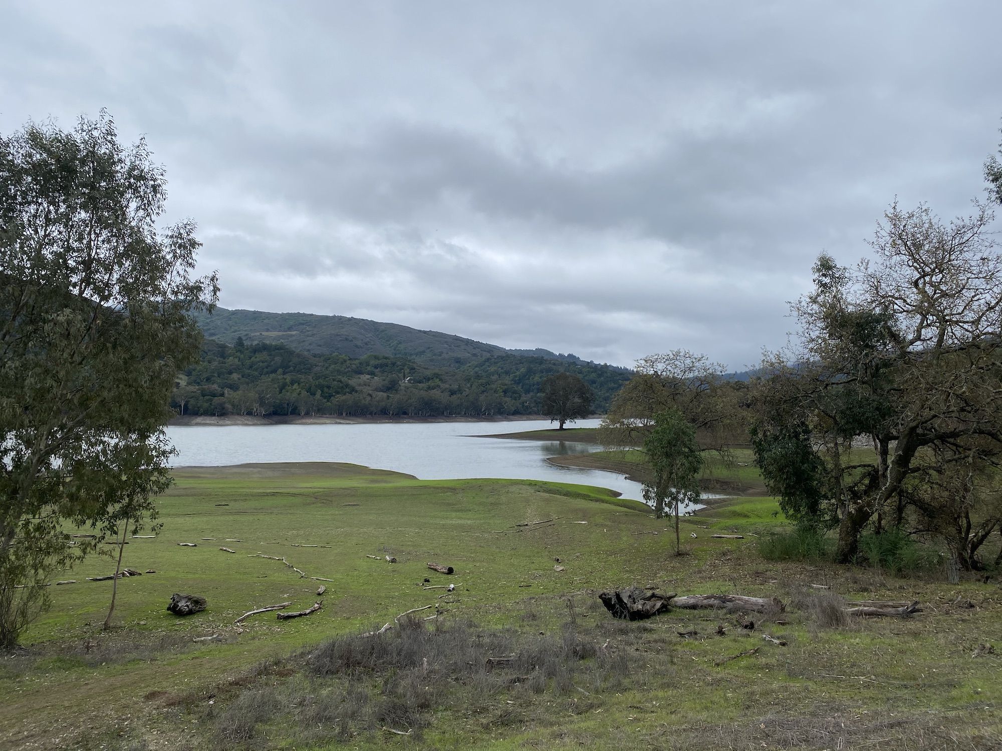 A reservoir surrounded by new grass sprouting