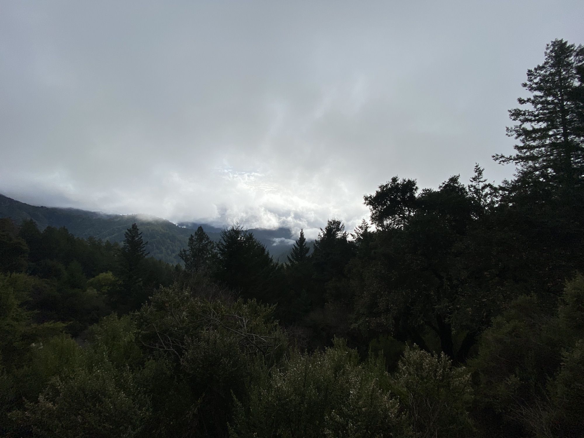 Foggy mountains