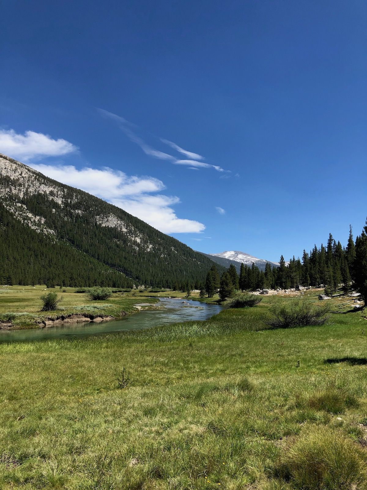 Looking up Lyell Canyon towards Donohue Pass.