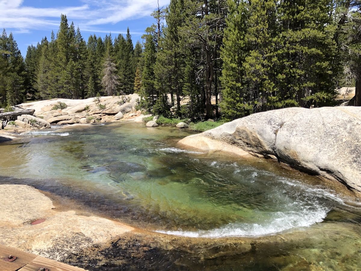 Lyell Fork bridge.