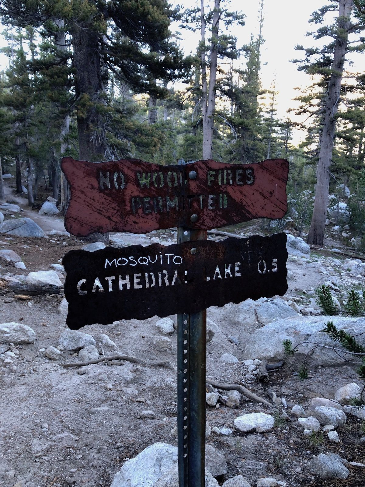 Hiker was surprised to find mosquitoes in the Sierra, proceeded to vandalize the park.