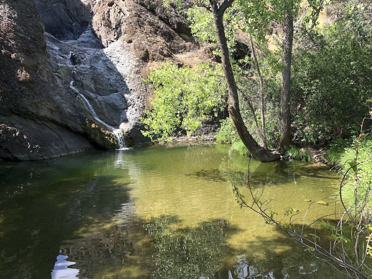 Henry coe hotsell state park backpacking