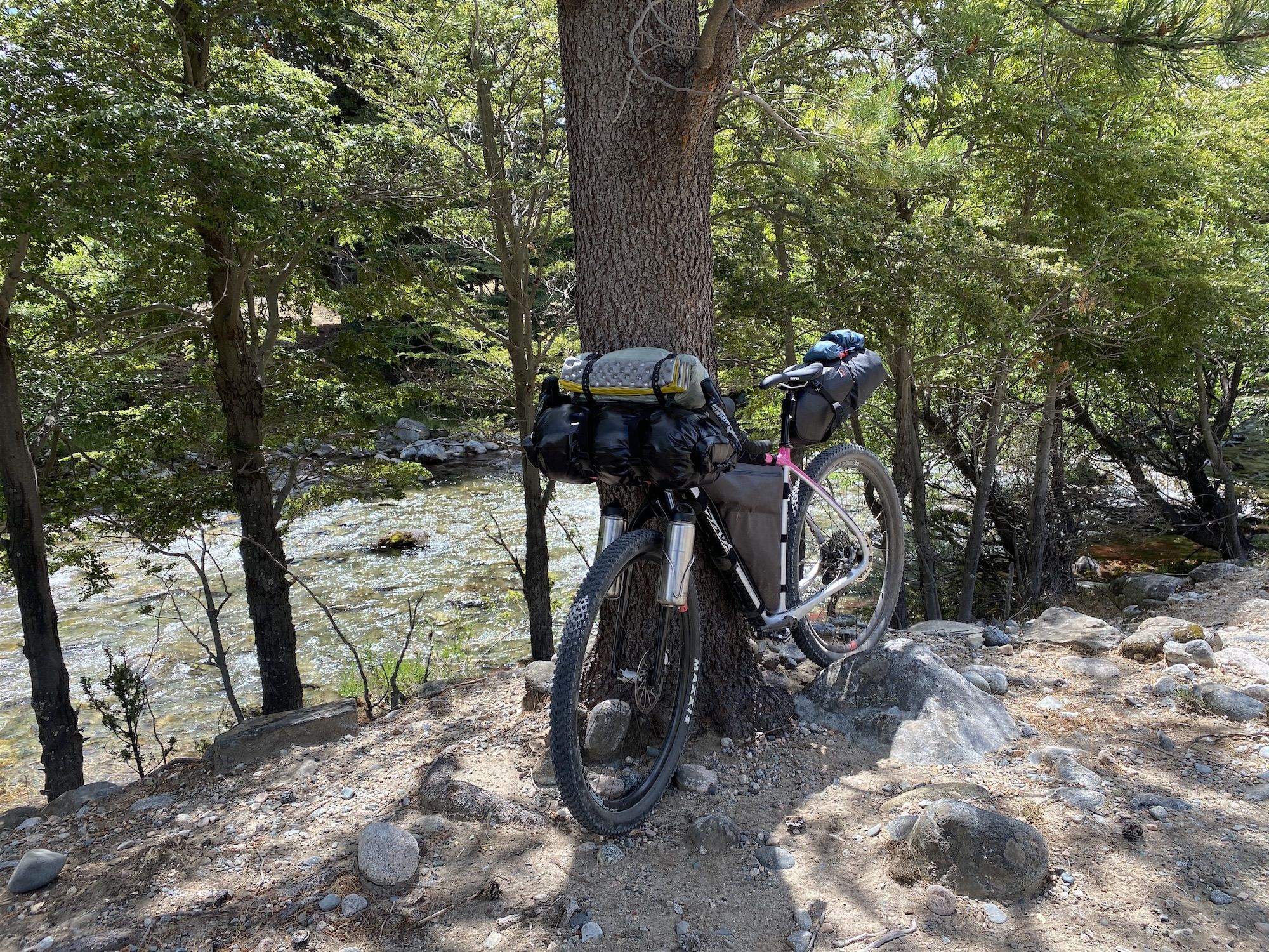 Bike leaning against a tree next to a river.