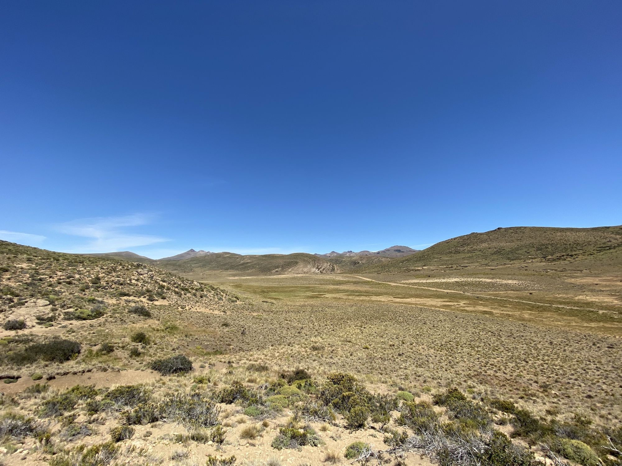 Prairie landscape