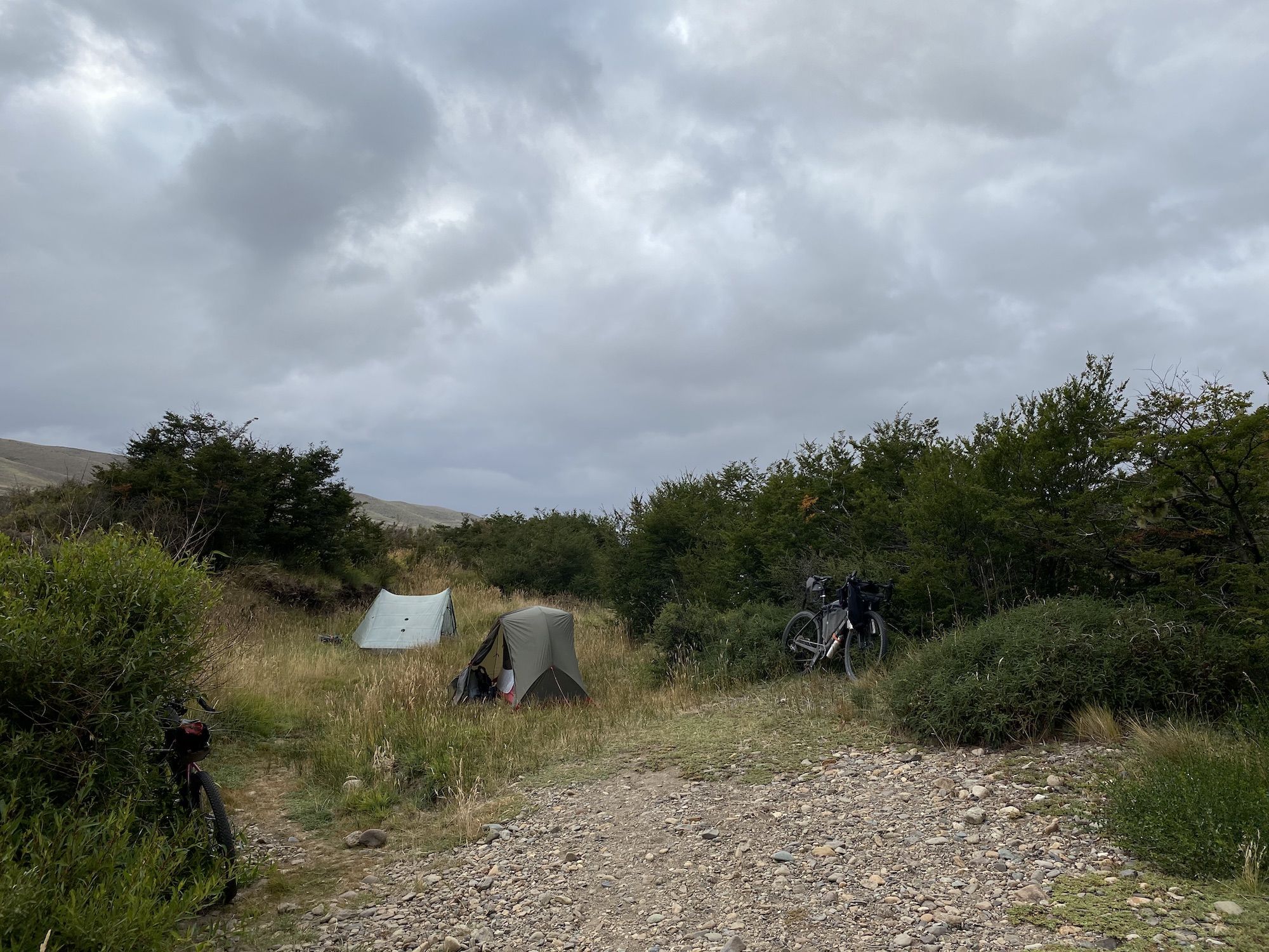 Two tents and two bikes between tall bushes