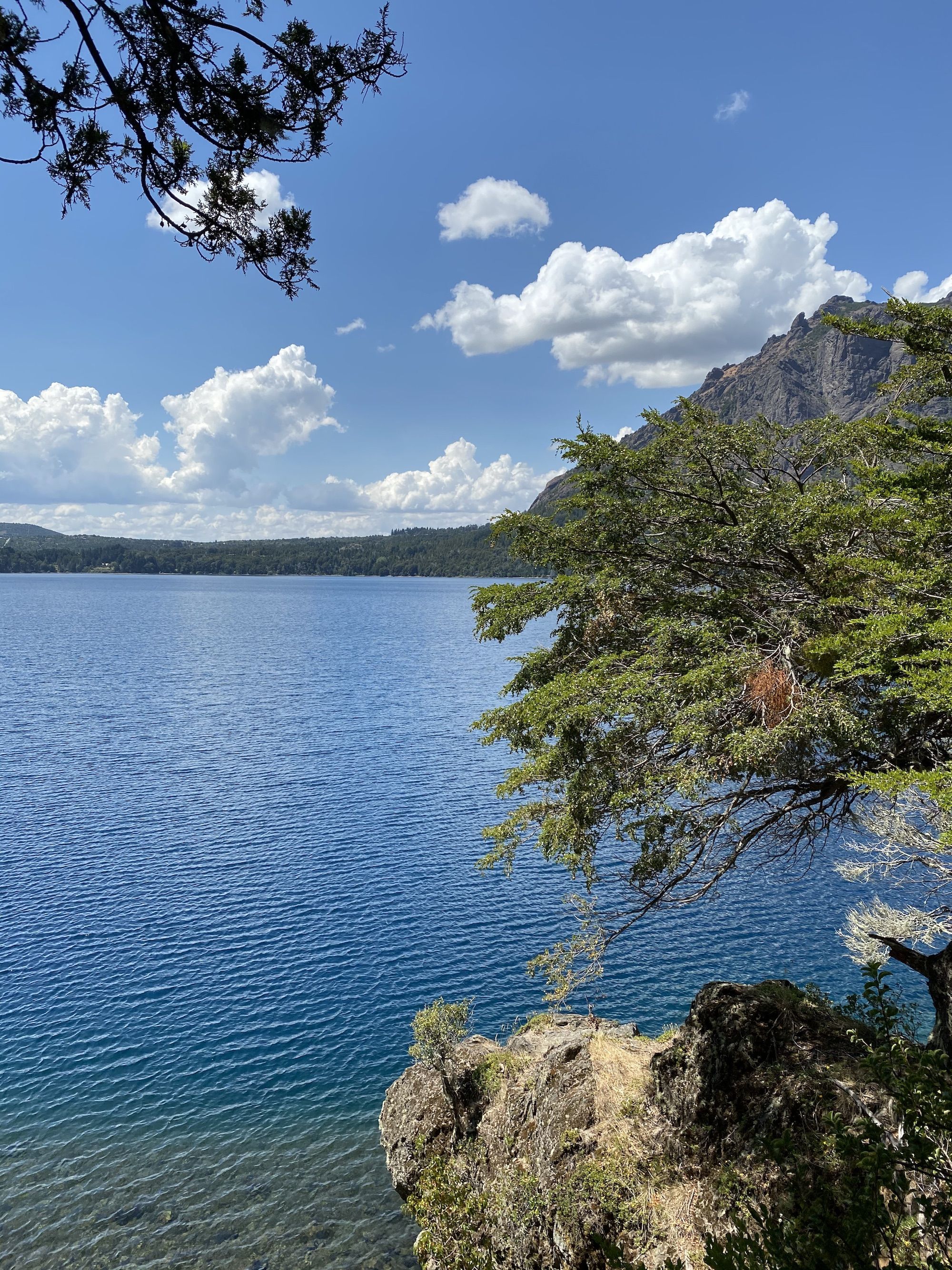 A blue lake with a rock and a tree in the foreground