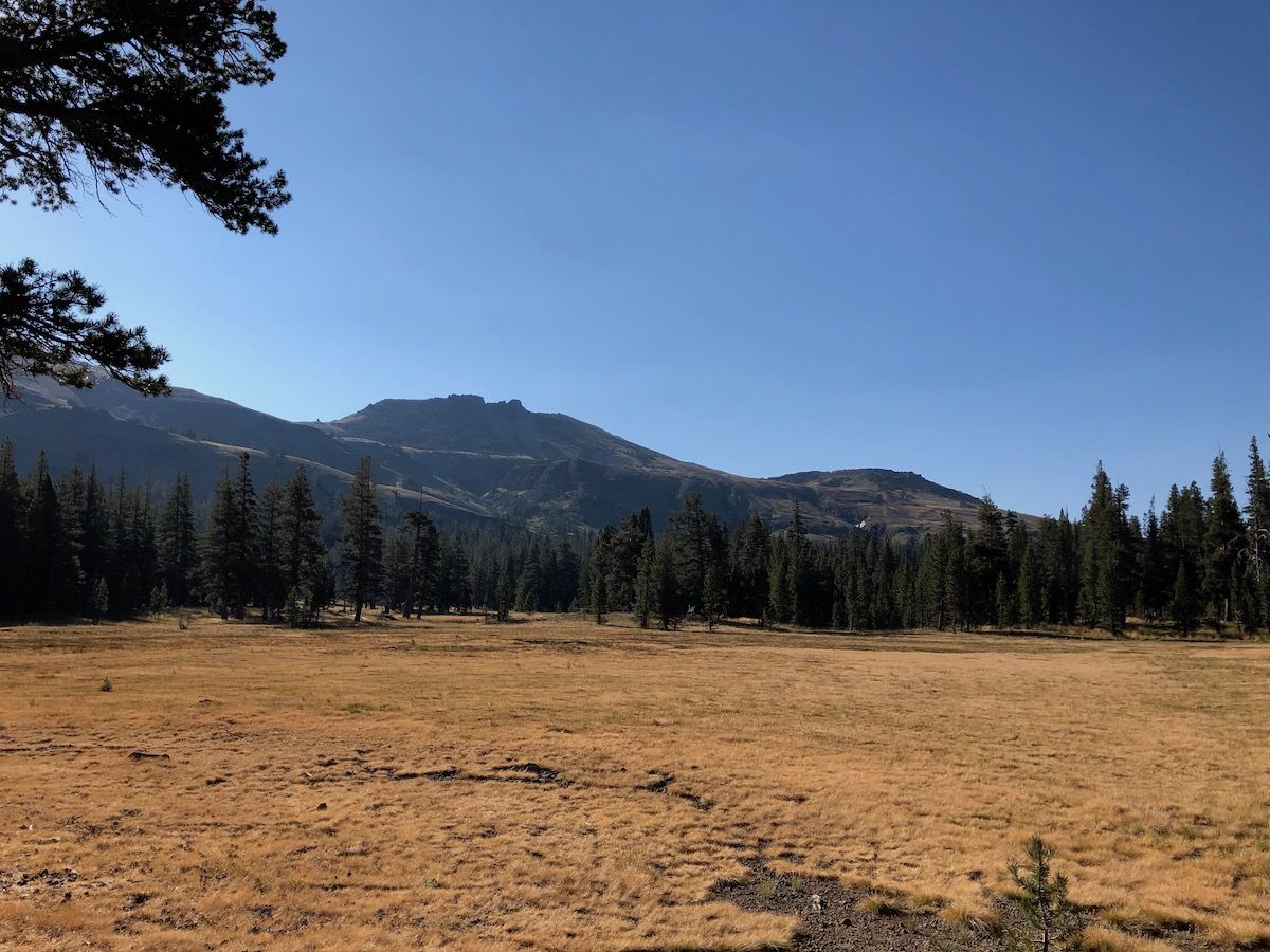pct meadow 1