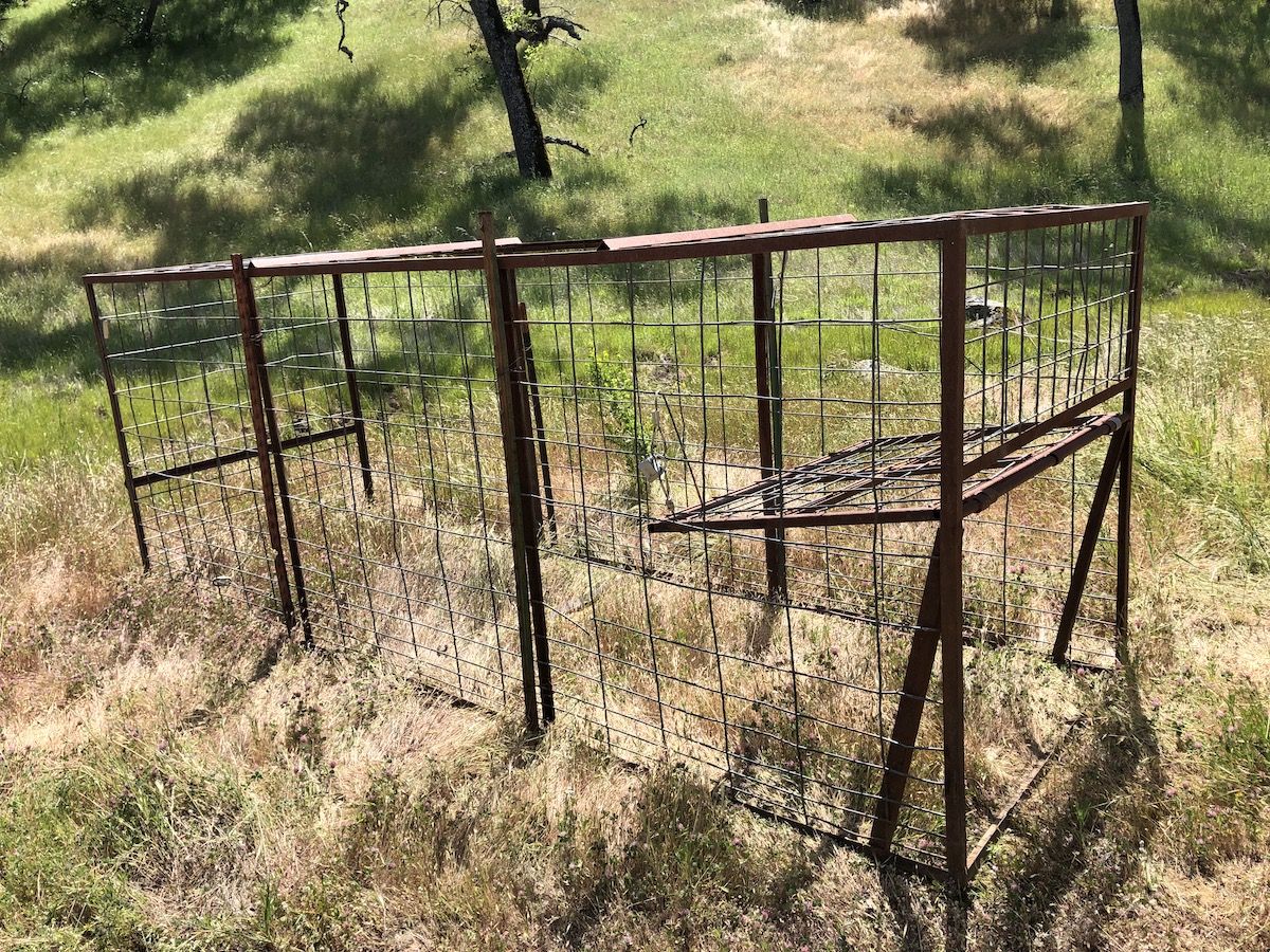 pig trap henry coe