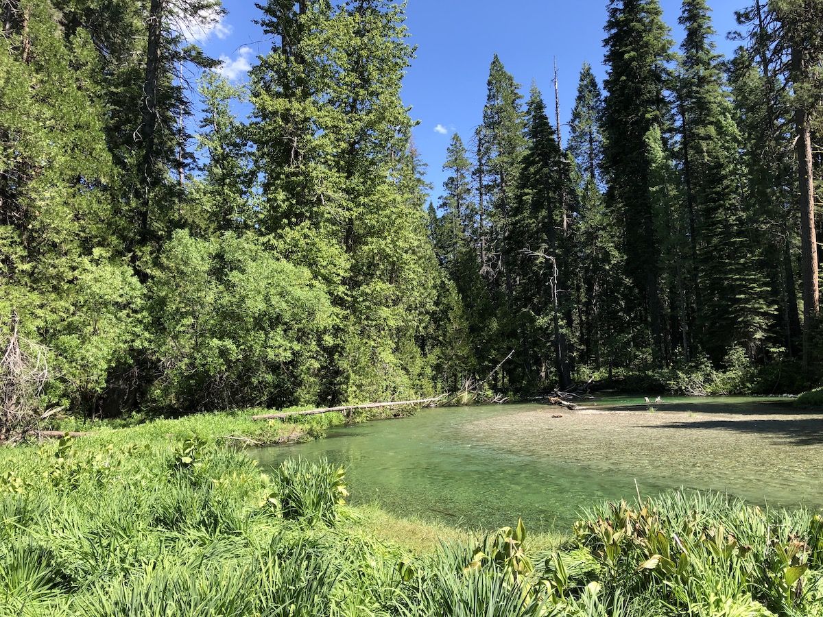 Stuart Fork running by the campsite.