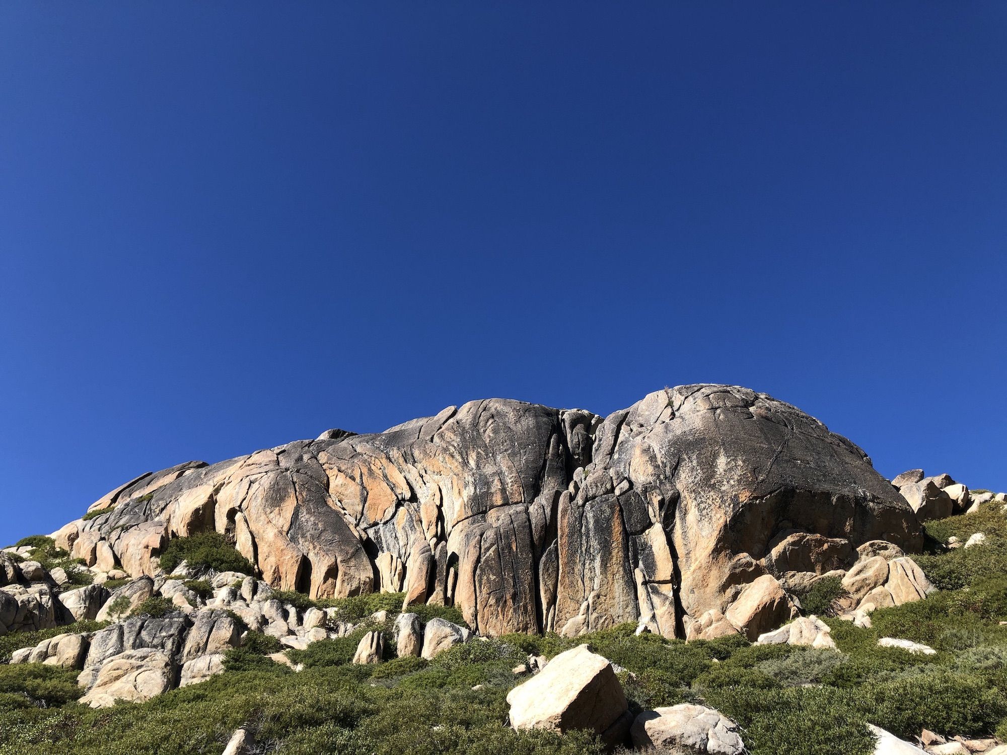 Rounded granite boulder surrounded by low brush.