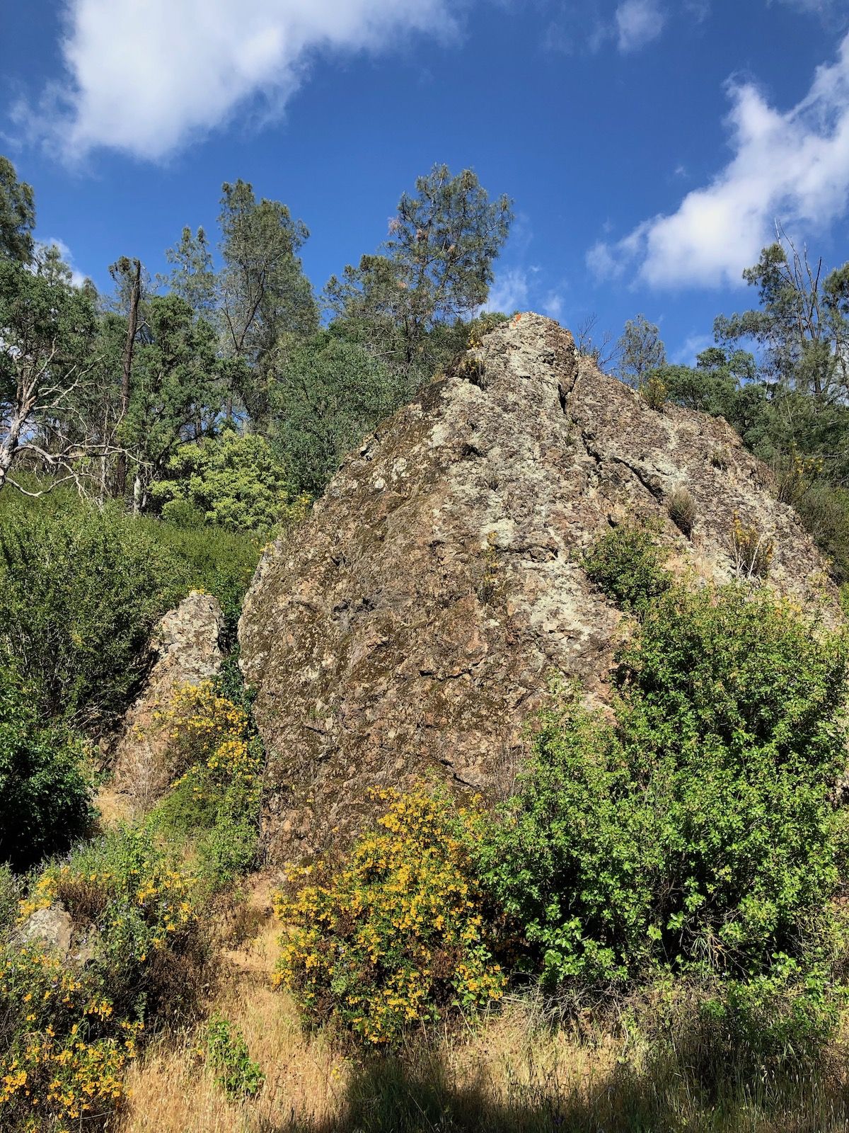 Big rock near Pacheco Camp.