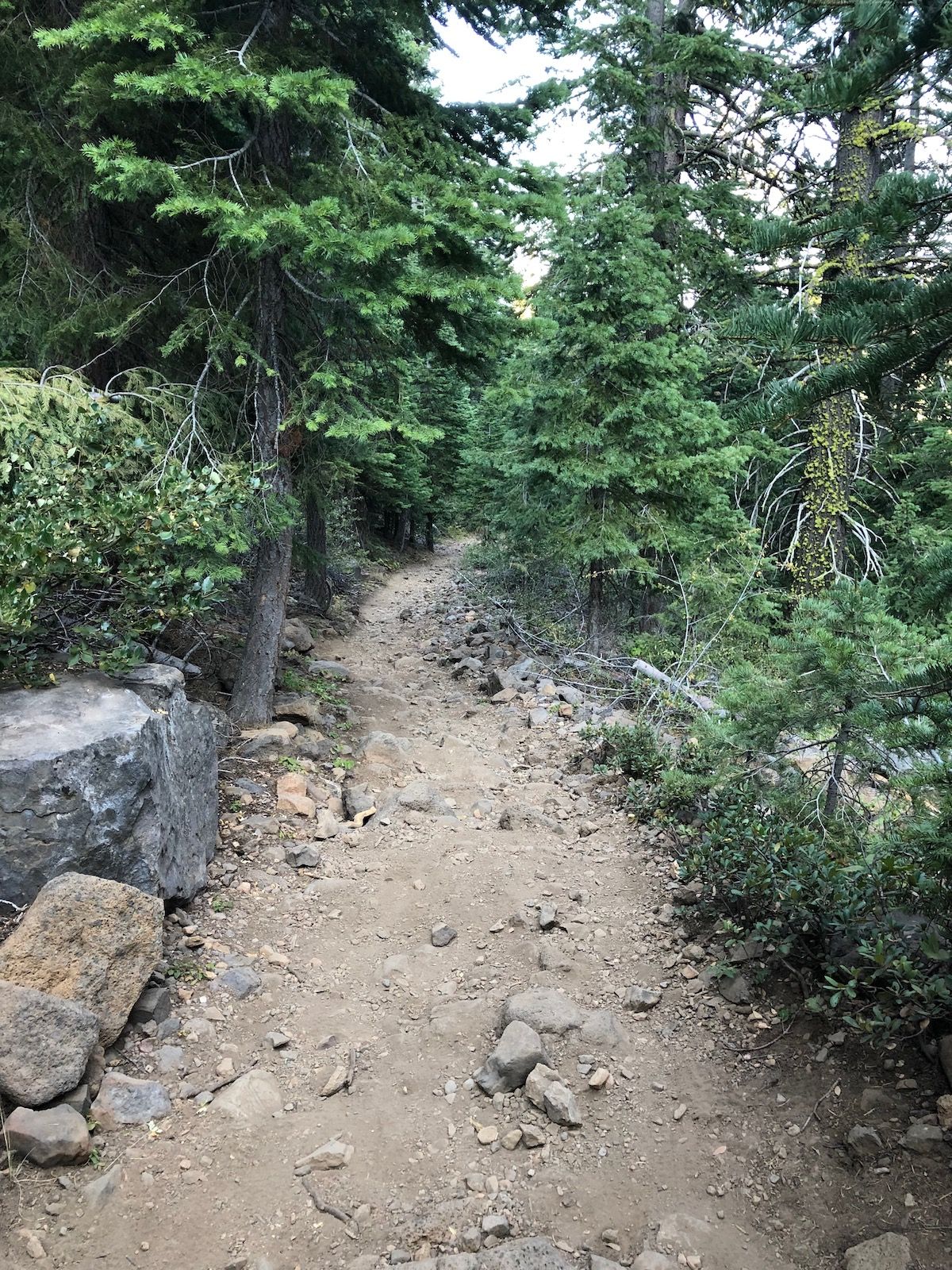 Rocky trail on the home stretch.