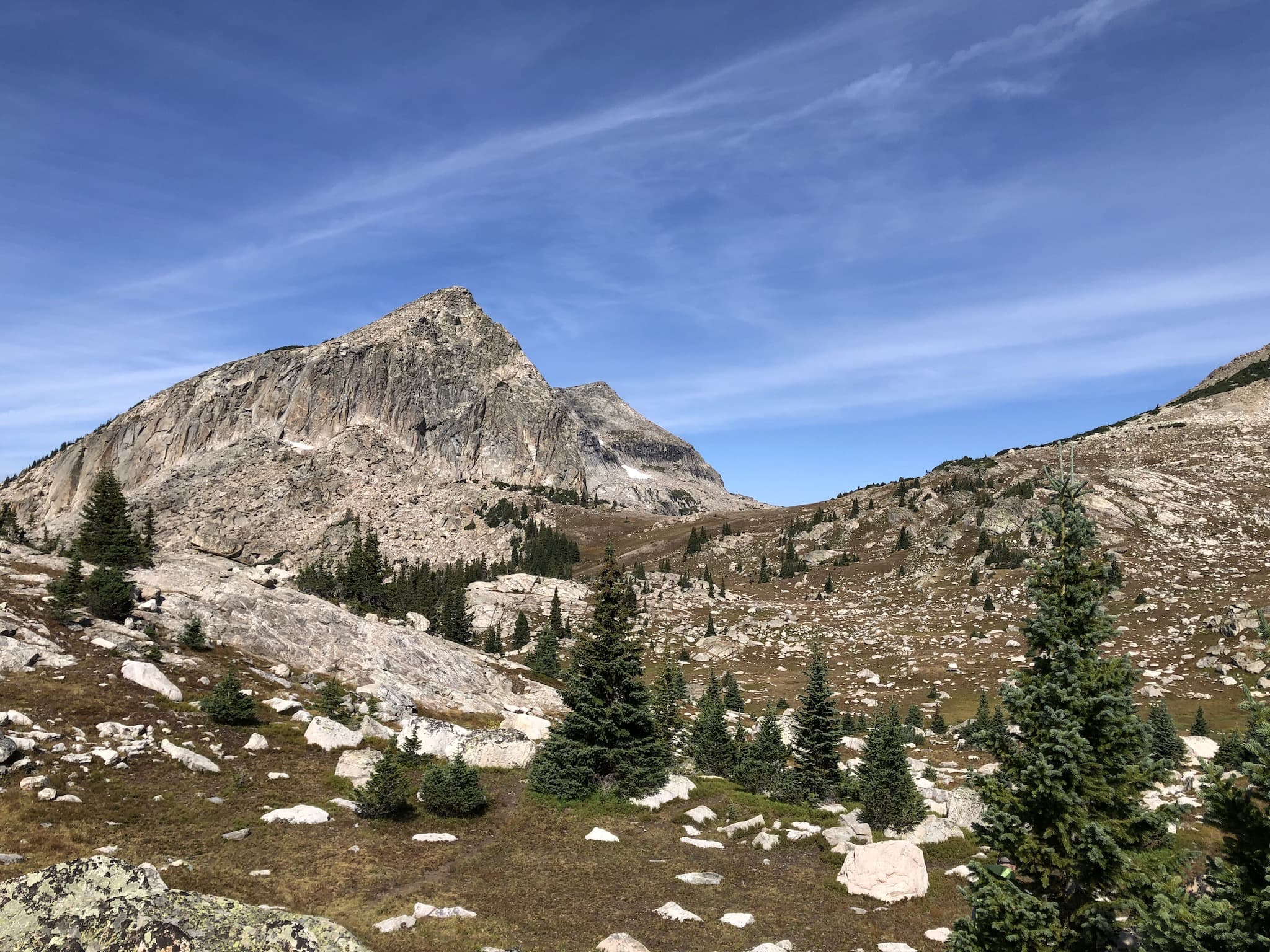 A mountain landscape with small trees, shrubs and rocks covering the ground.